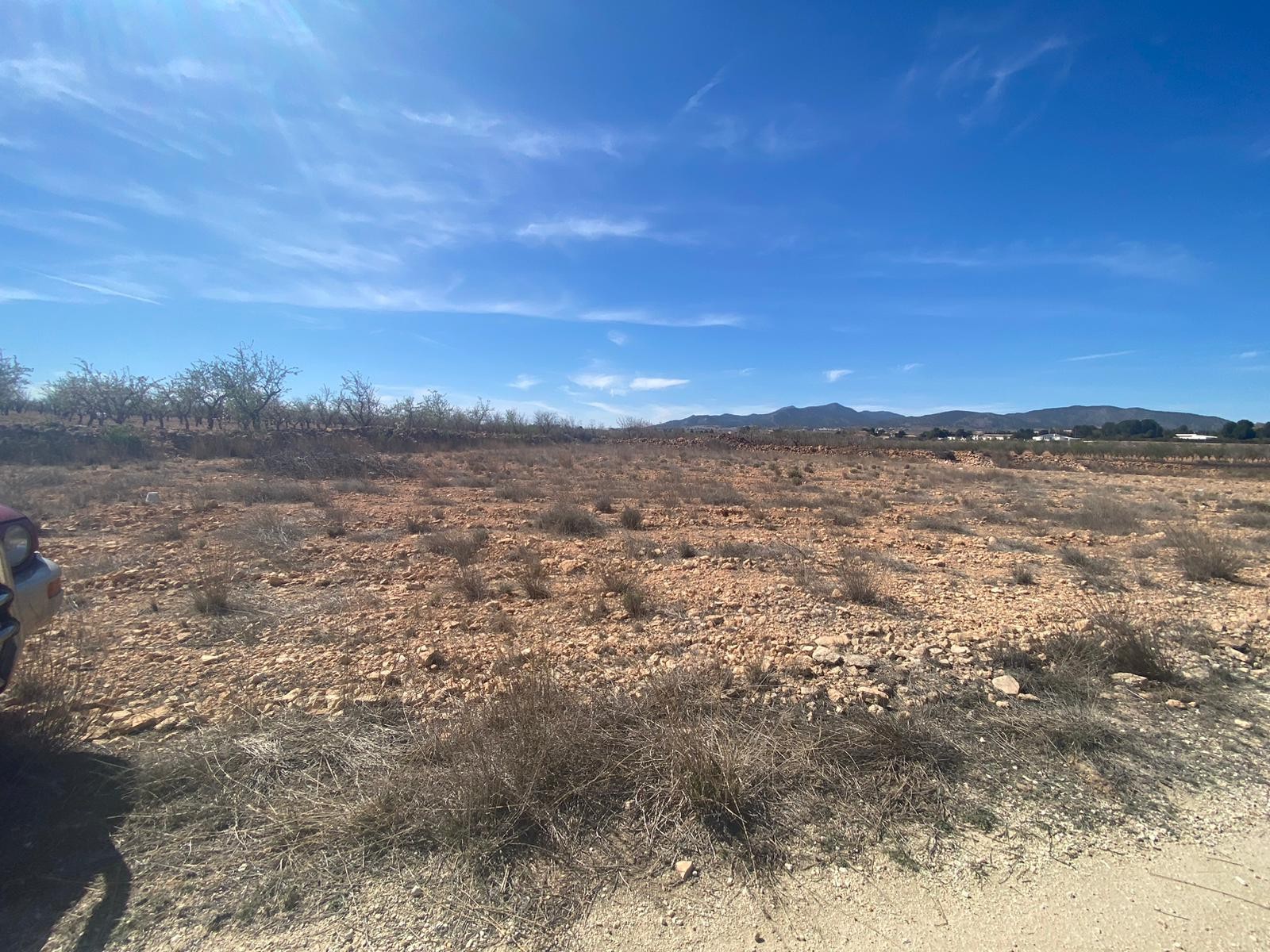 Pool area in land for sale in Pinoso