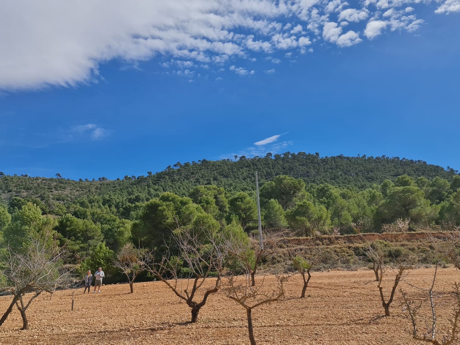 Introducing a prime opportunity to own a slice of tranquility in the countryside