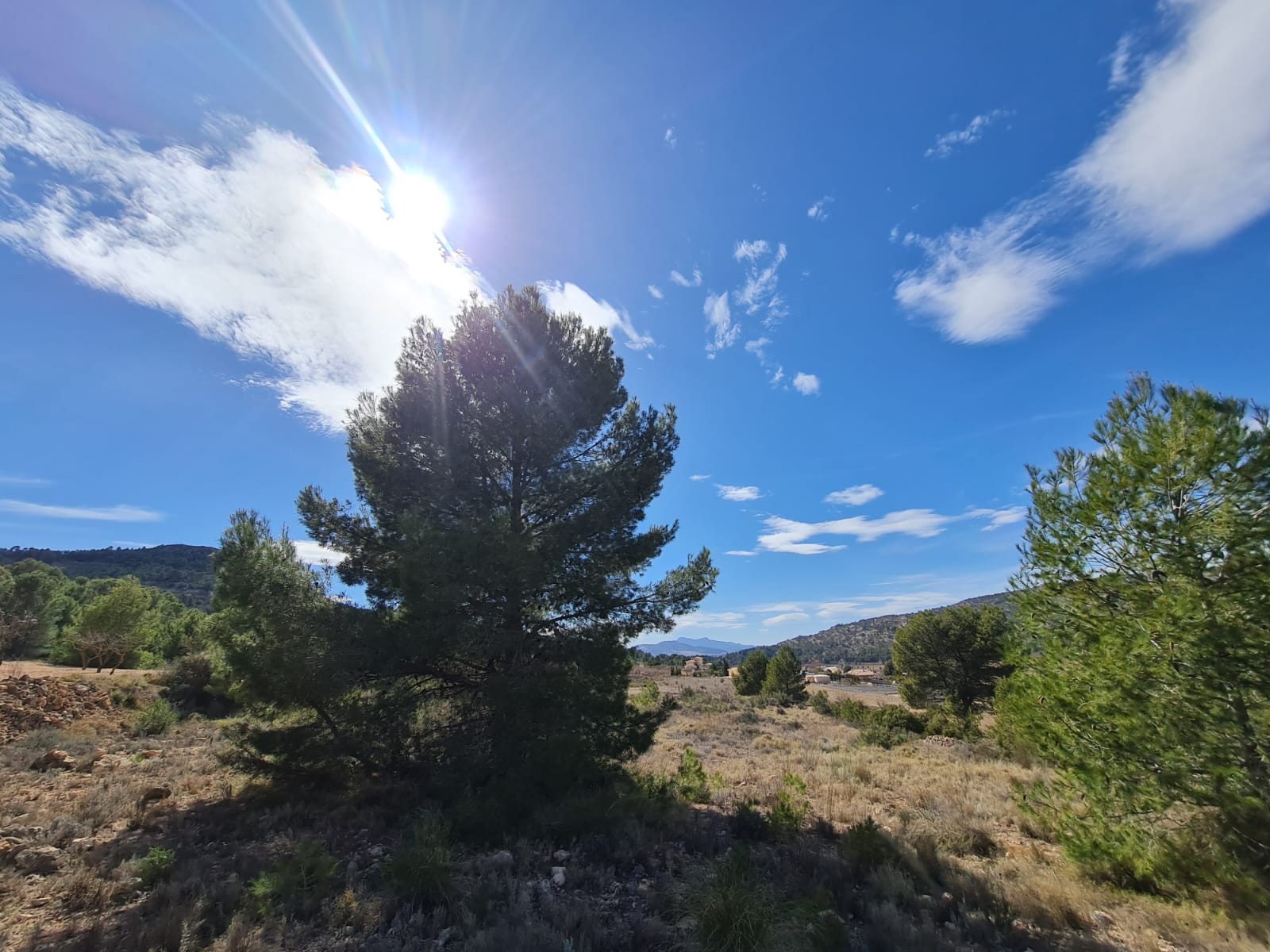Exterior view in land for sale in Pinoso