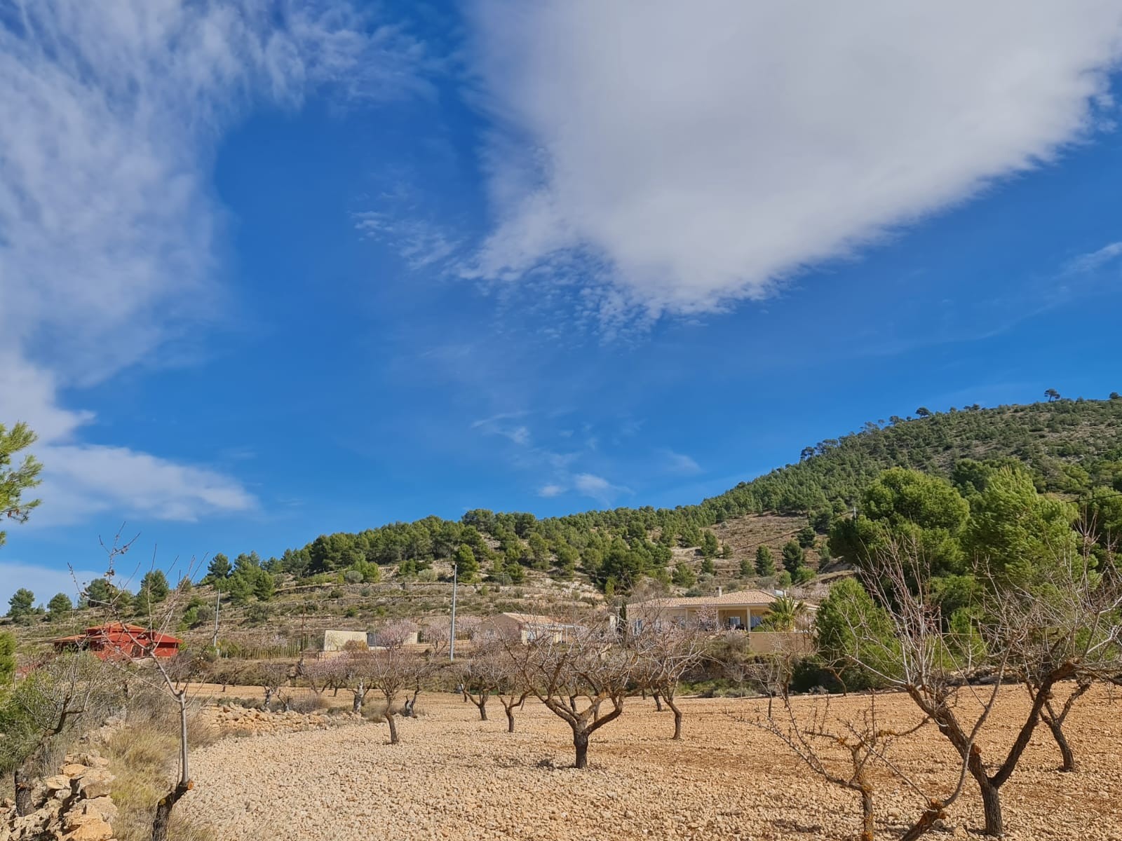 Living room in land for sale in Pinoso