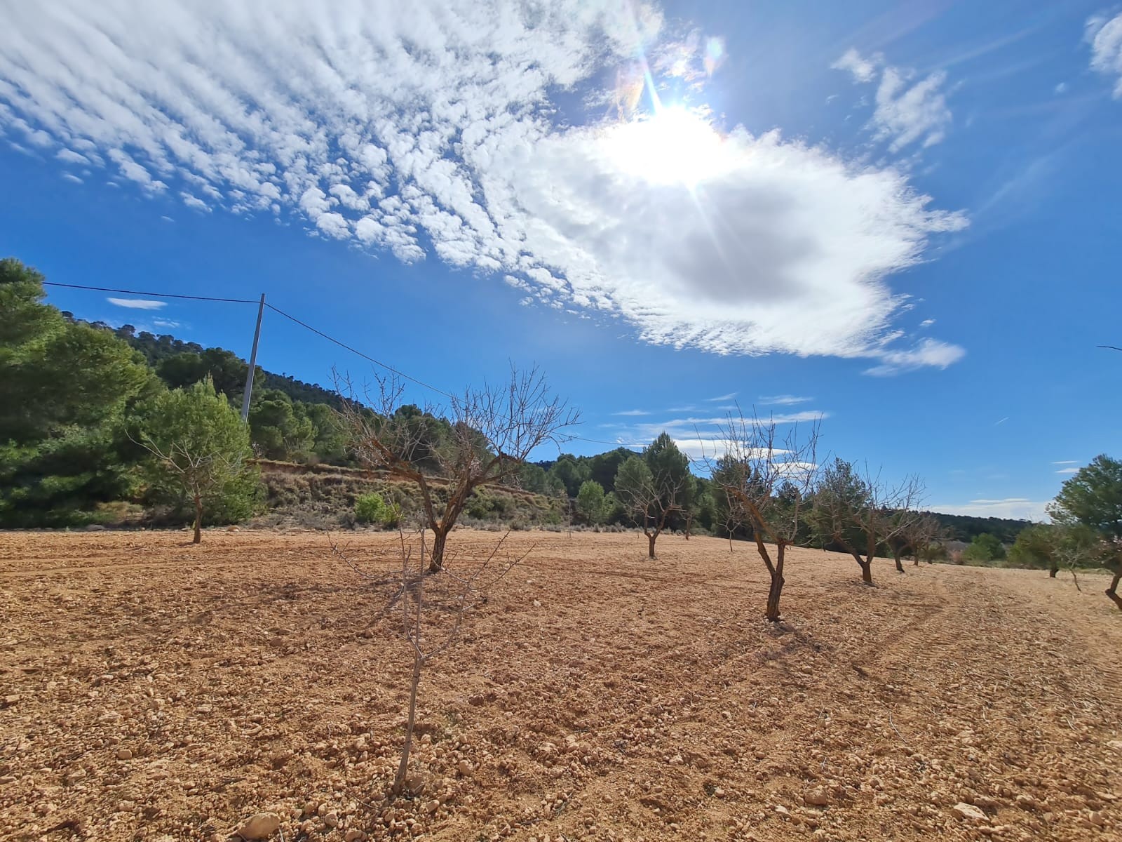 Dining area in land for sale in Pinoso