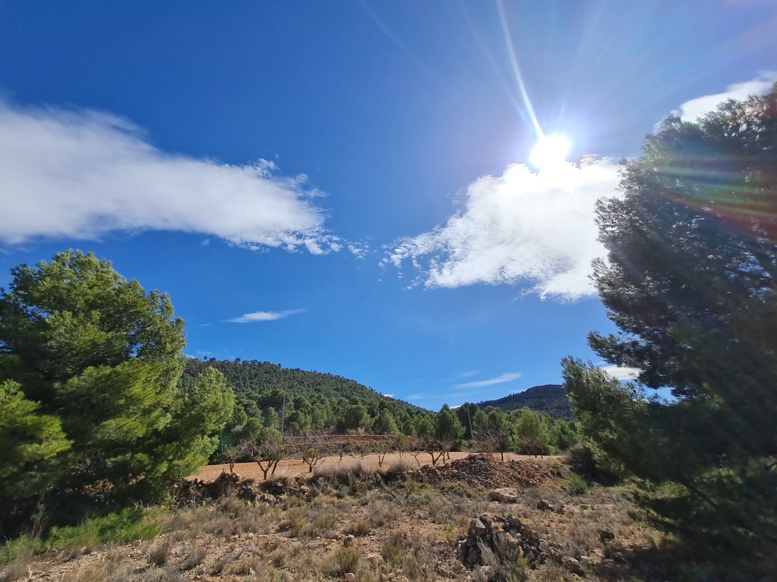 Introducing a prime opportunity to own a slice of tranquility in the countryside