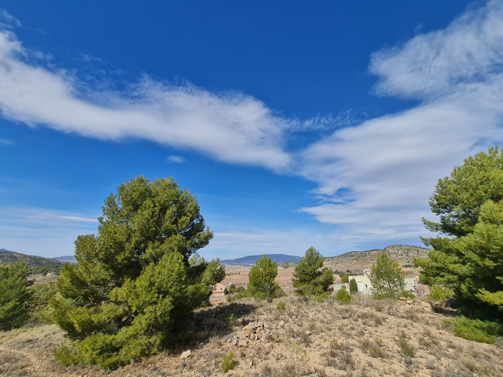 Terrace in land for sale in Pinoso