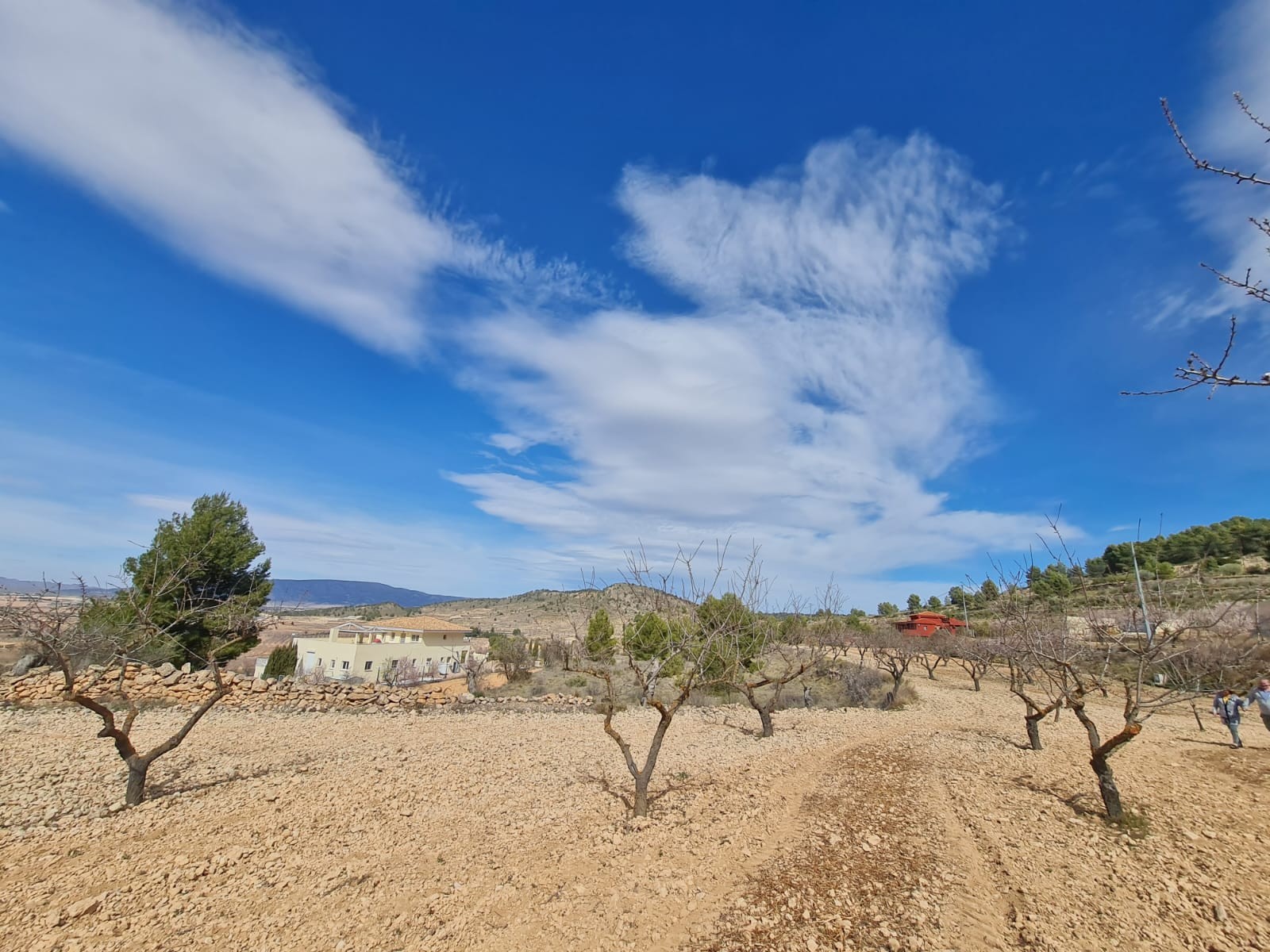 Dining area in land for sale in Pinoso