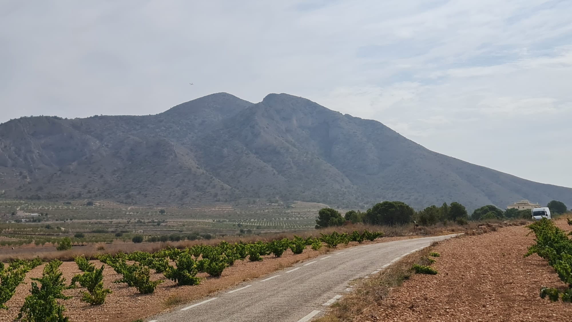 Monastrell winnica 2 ha w Abanilla – działka