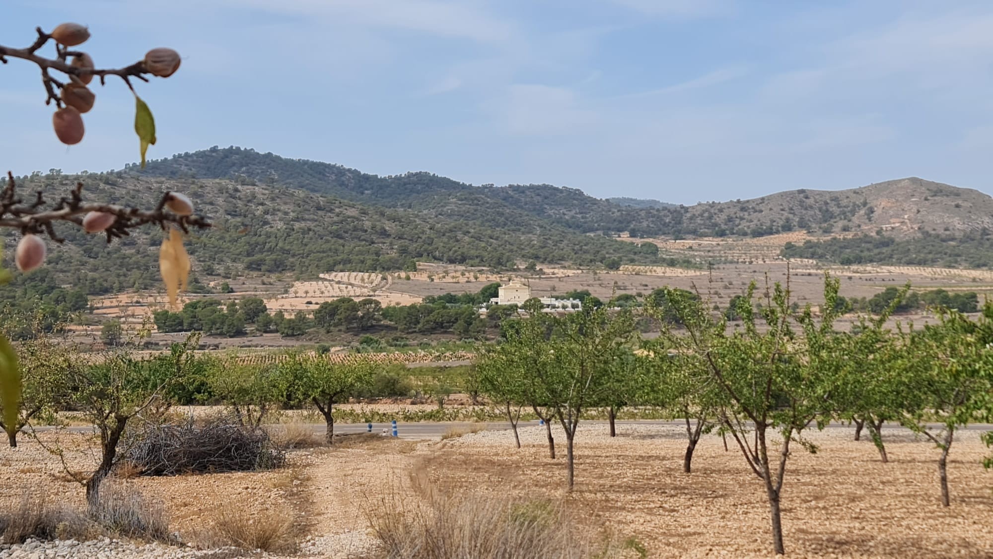 This 7,558m² plot offers a peaceful setting with beautiful views of Algueña and the surrounding moun