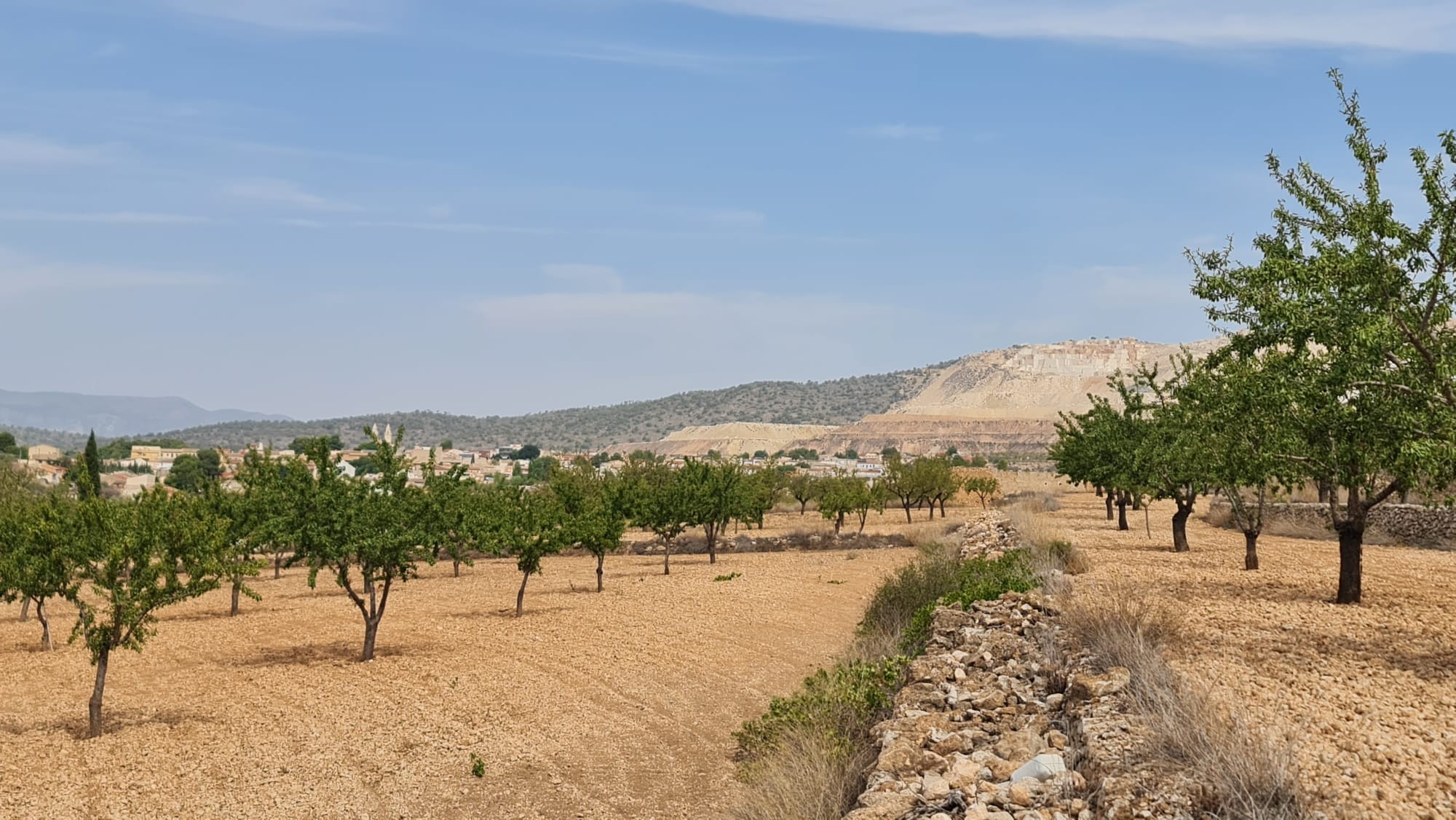 This 7,558m² plot offers a peaceful setting with beautiful views of Algueña and the surrounding moun