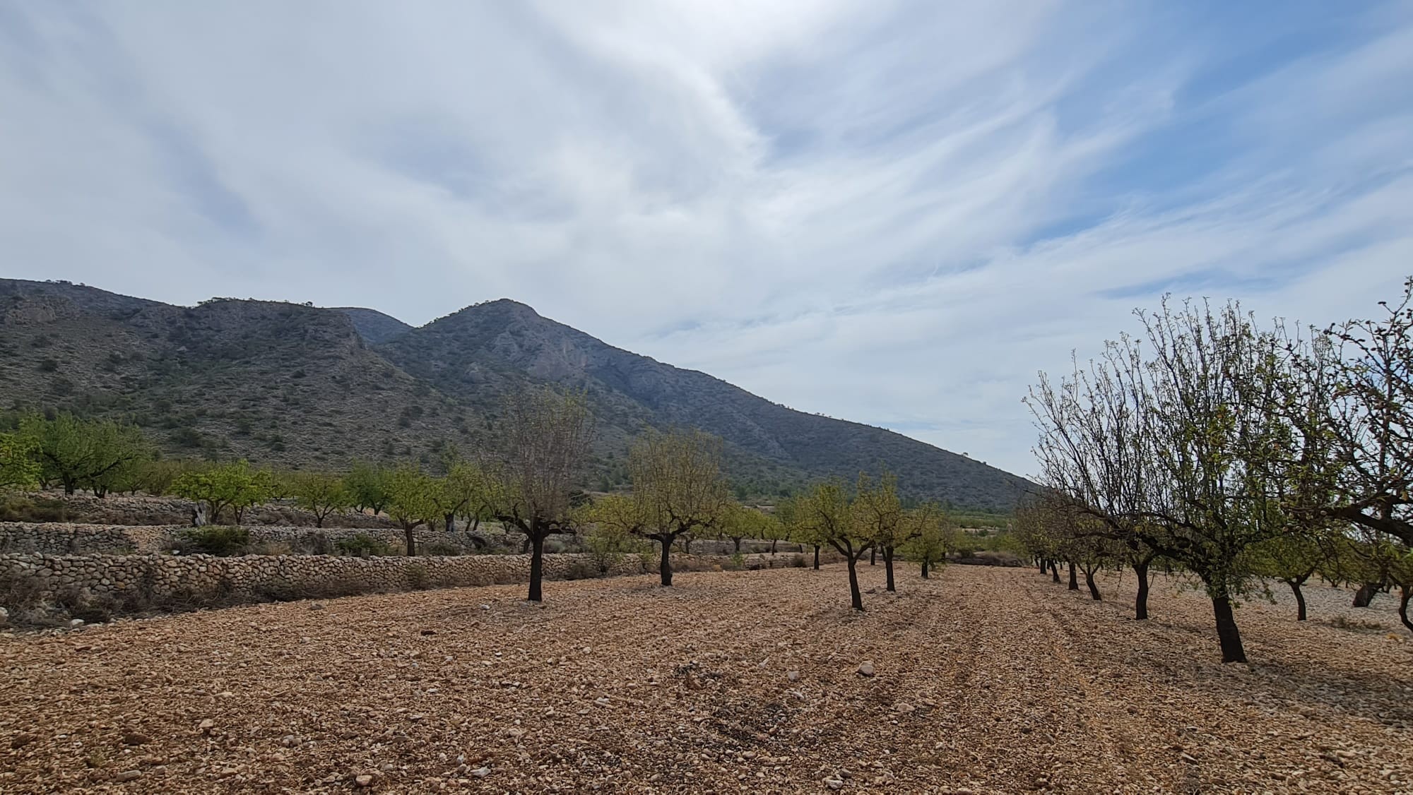 This 7,558m² plot offers a peaceful setting with beautiful views of Algueña and the surrounding moun