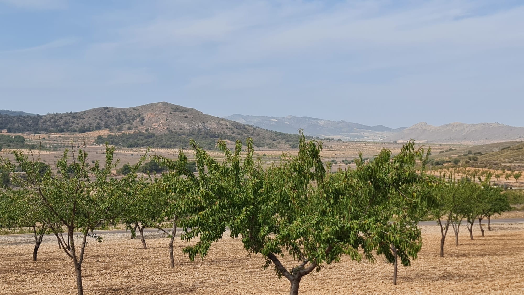 This 7,558m² plot offers a peaceful setting with beautiful views of Algueña and the surrounding moun
