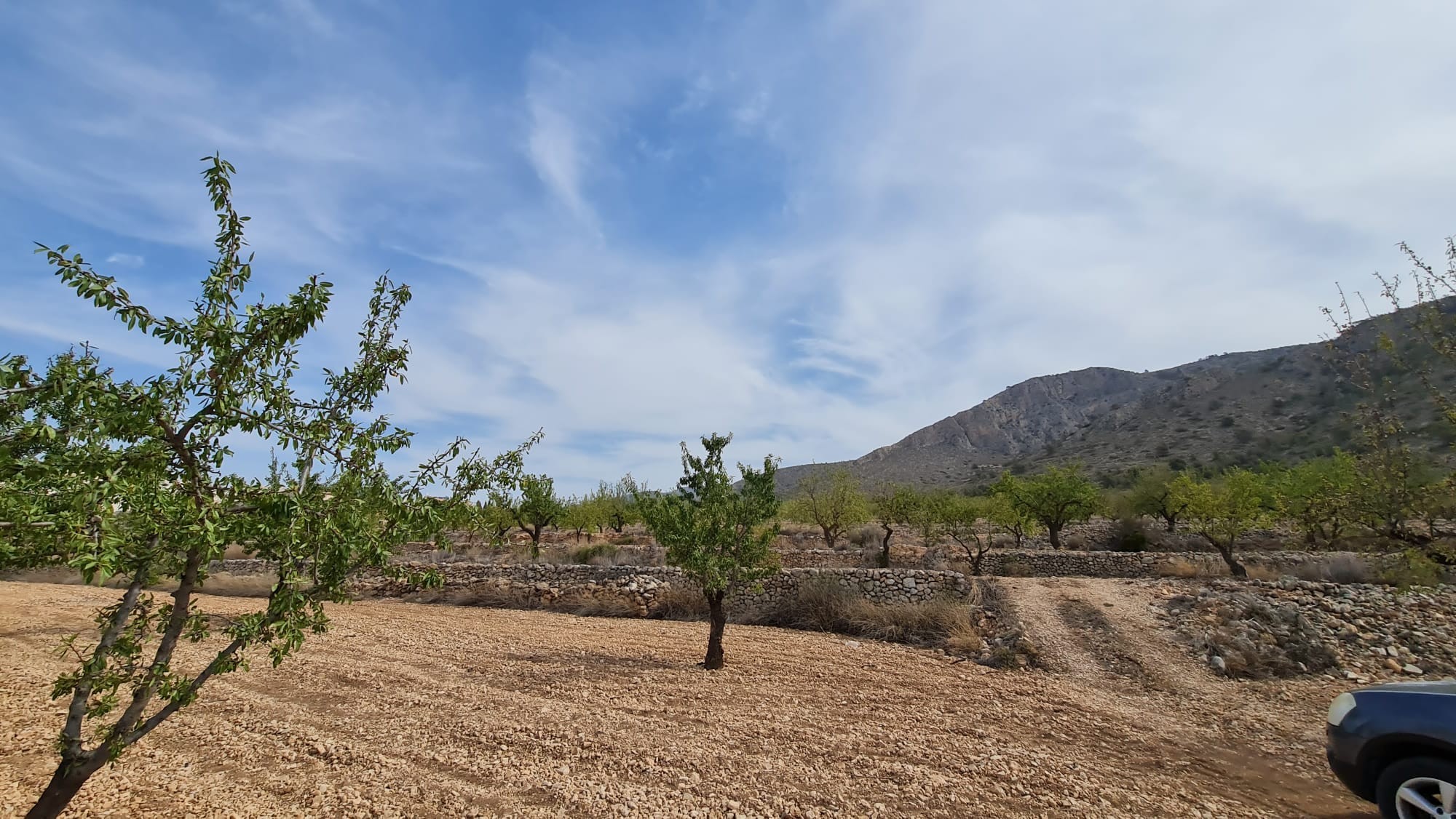 This 7,558m² plot offers a peaceful setting with beautiful views of Algueña and the surrounding moun