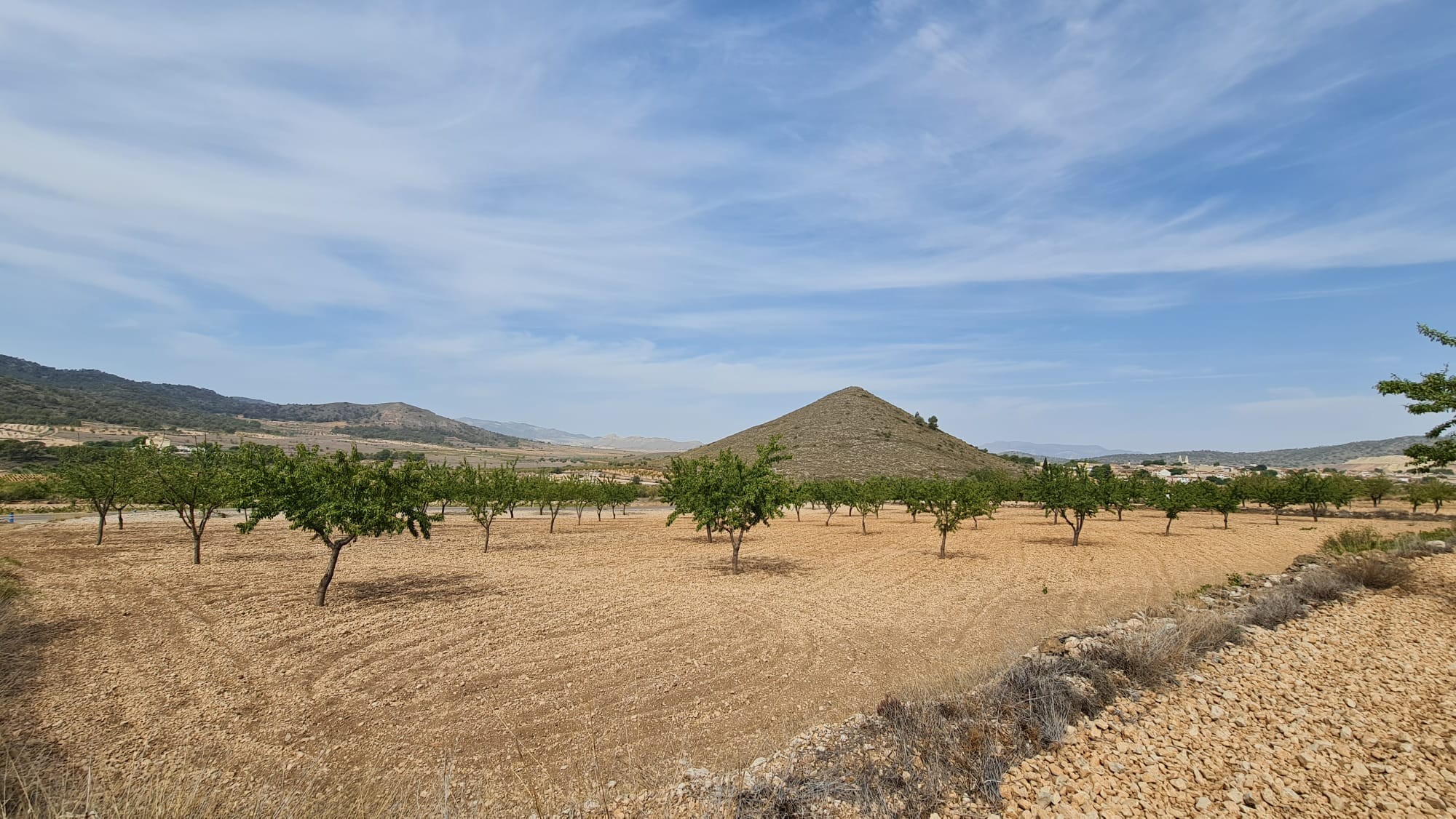 Terrace in land for sale in Algueña