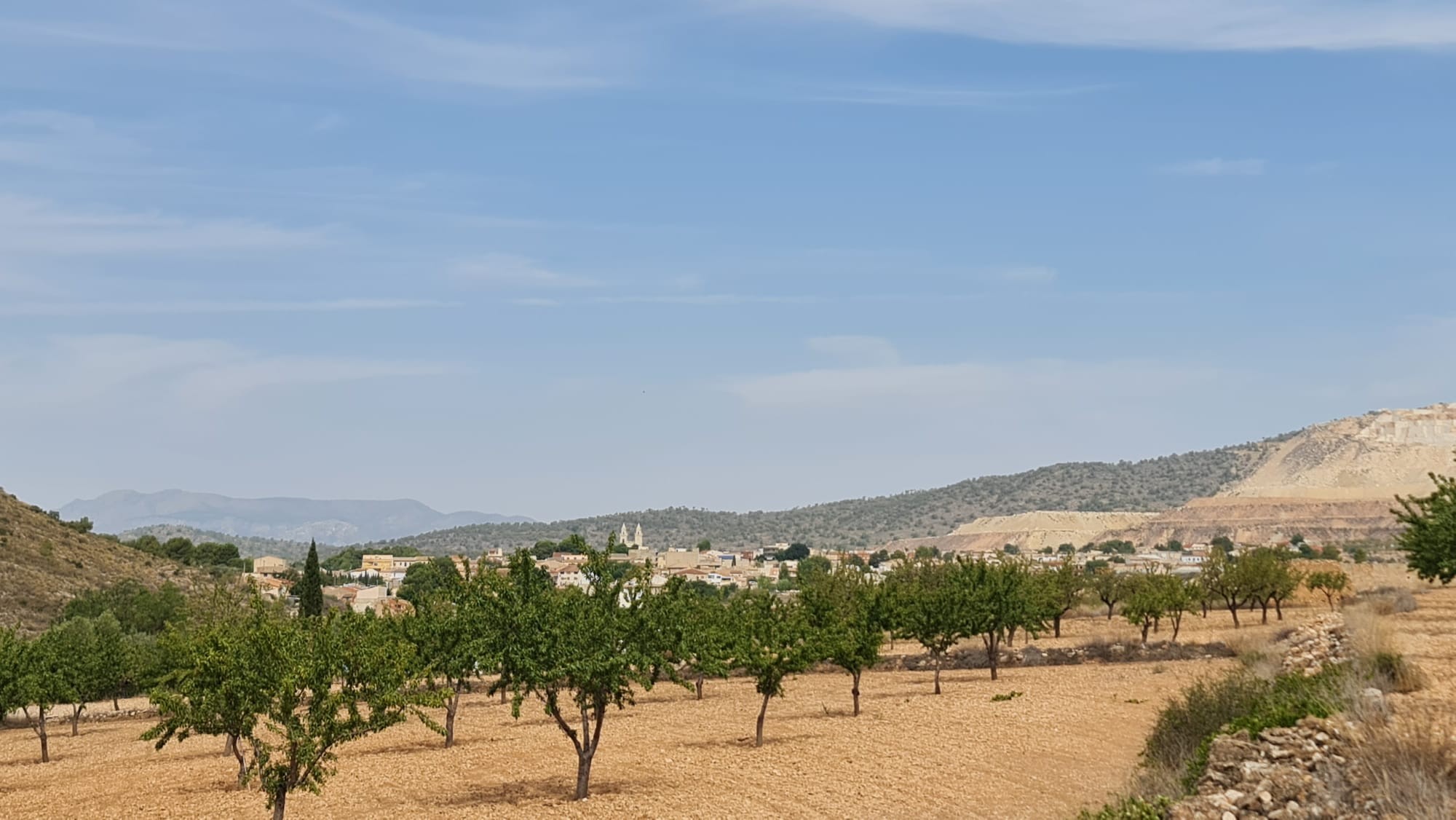 Pool area in land for sale in Algueña