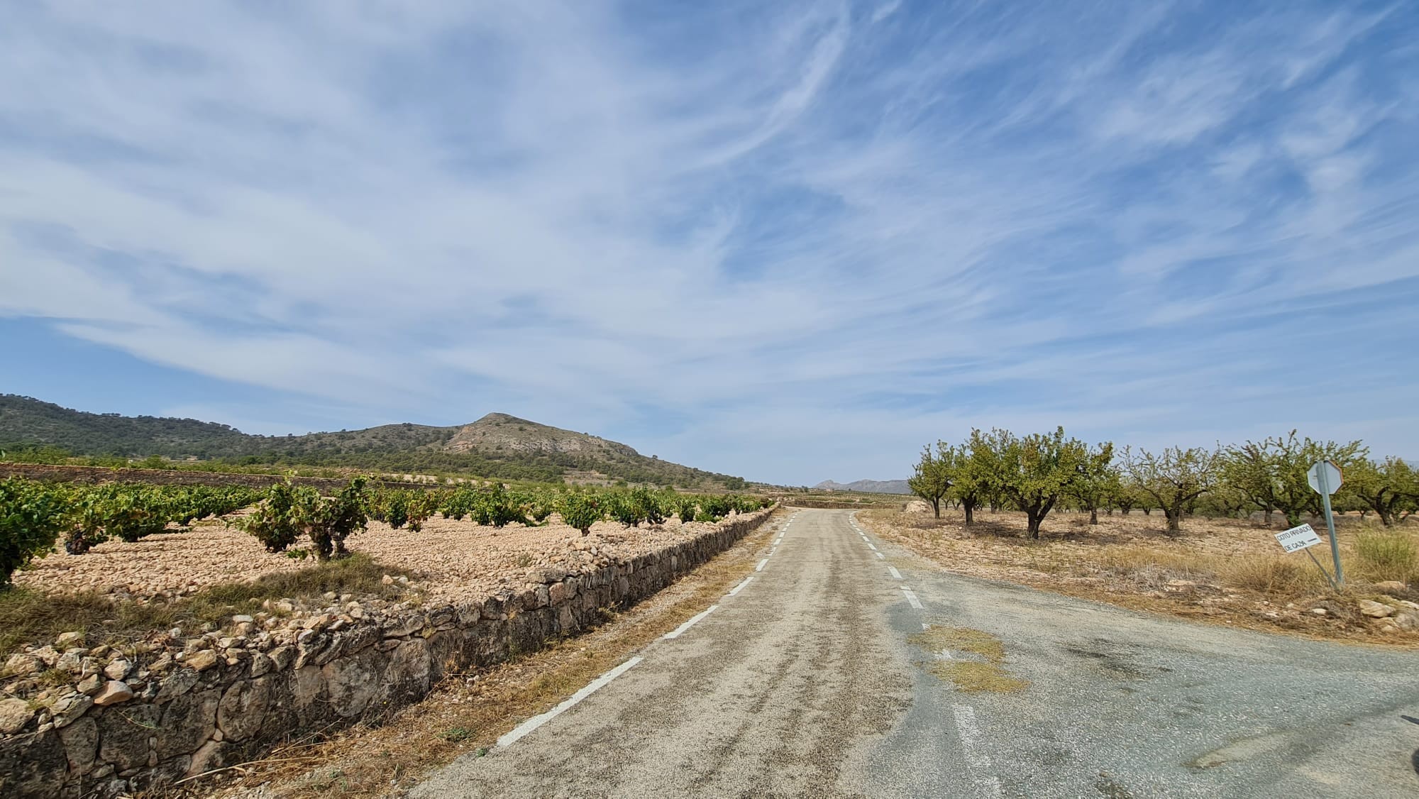 Dining area in land for sale in Abanilla