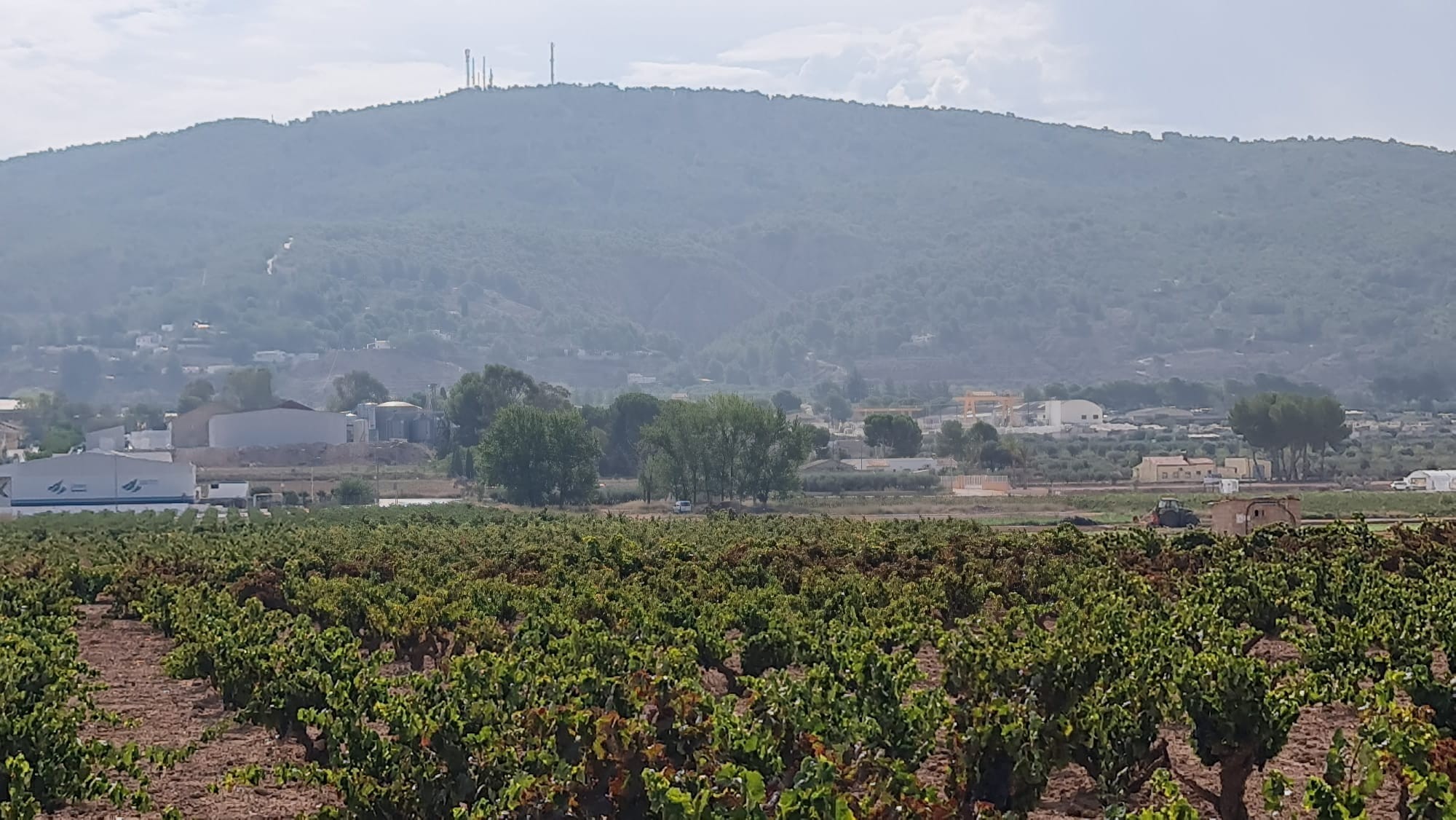 Exterior view in land for sale in Pinoso