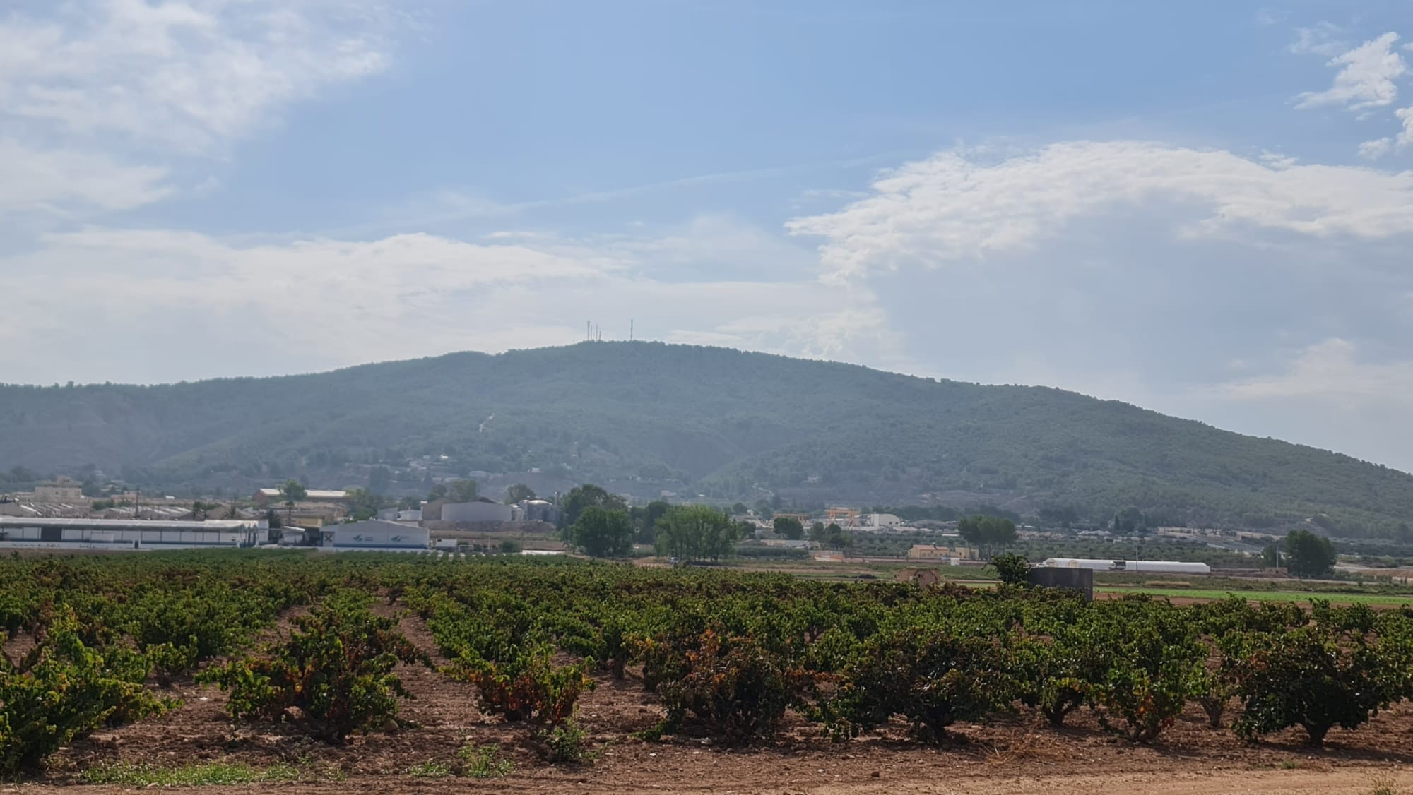 Living room in land for sale in Pinoso