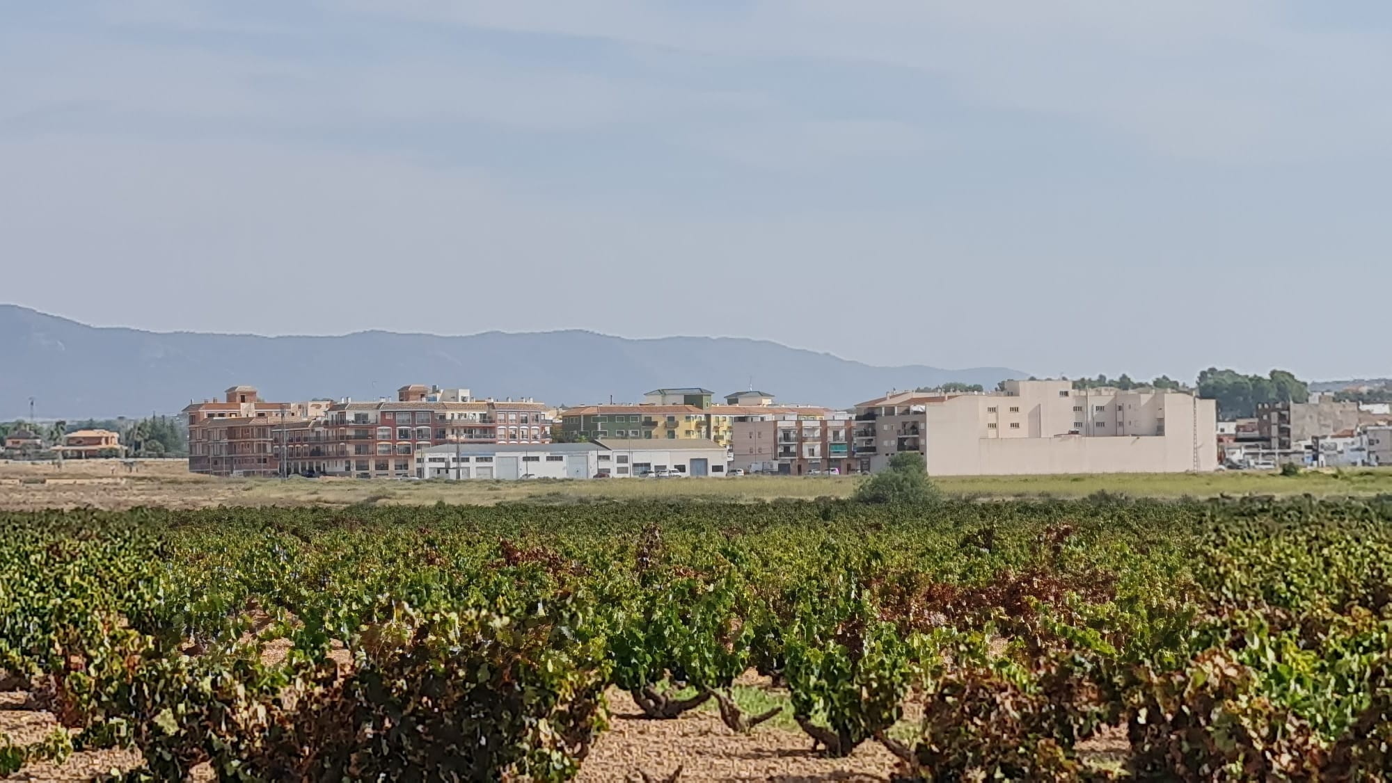 **Exceptional Mature Vineyard for Sale Near Pinoso**Discover a unique opportunity to own a fully pro