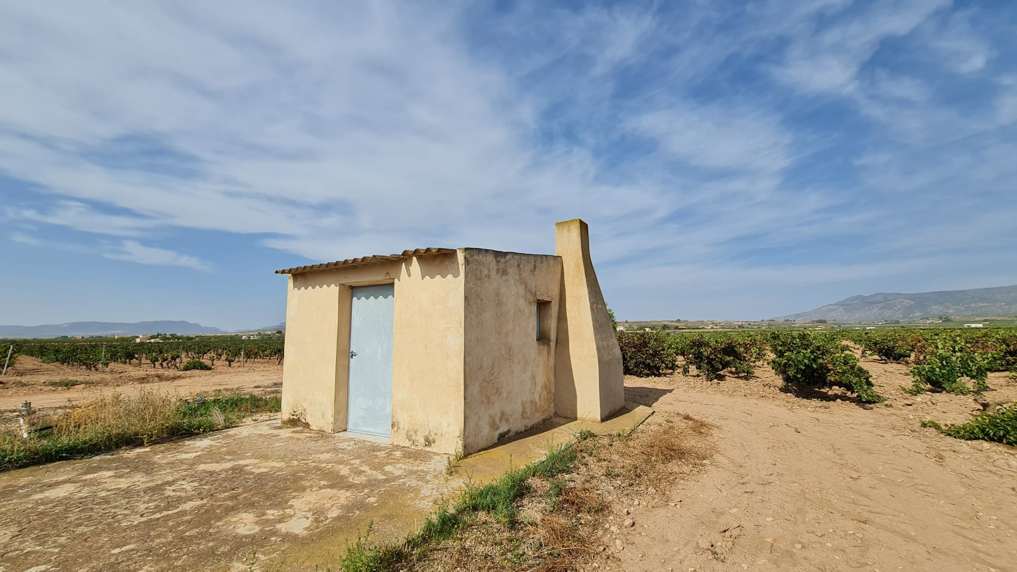 Terrace in land for sale in Pinoso