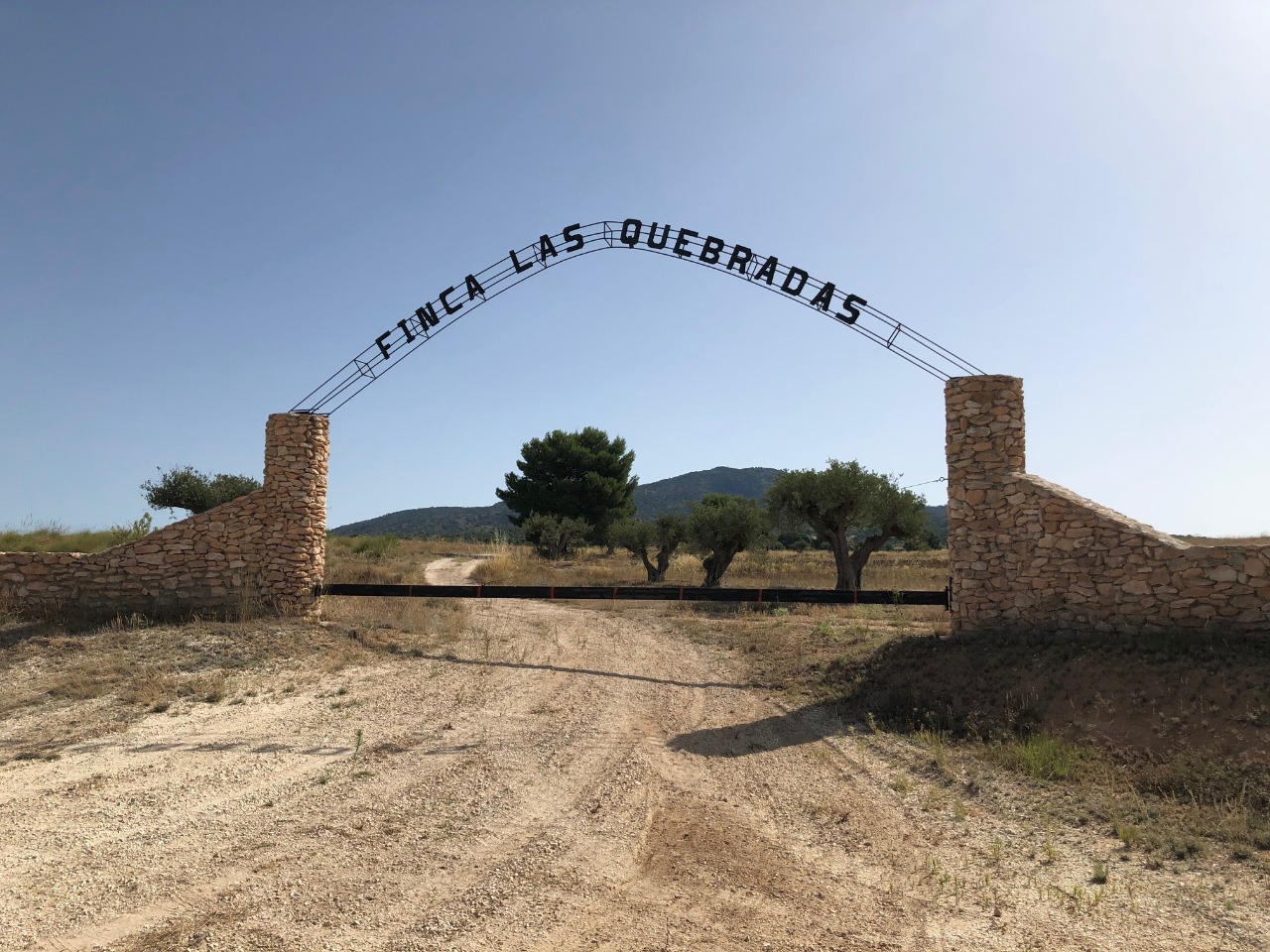Finca Las Quebradas between Pinoso and Yecla