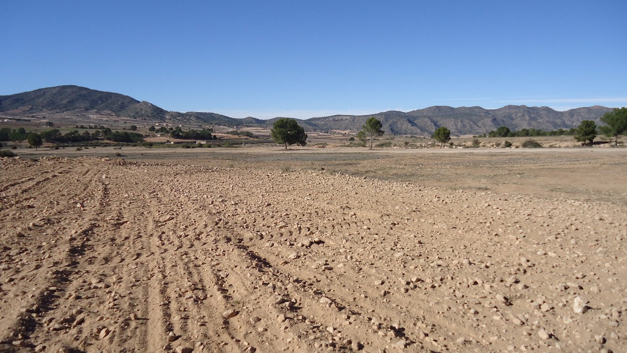 Terrace in land for sale in Yecla