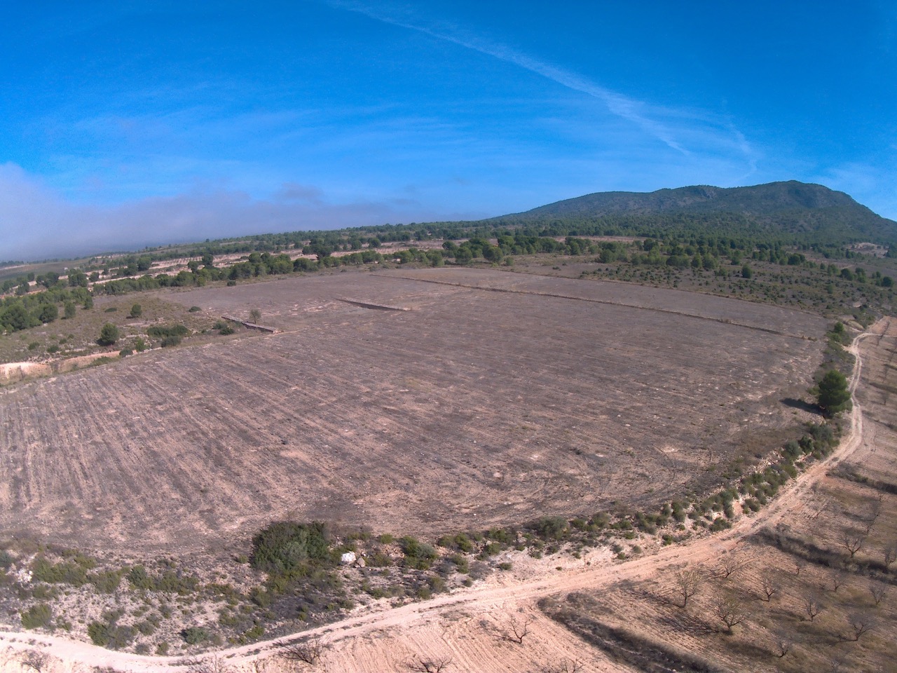 Finca Las Quebradas between Pinoso and Yecla