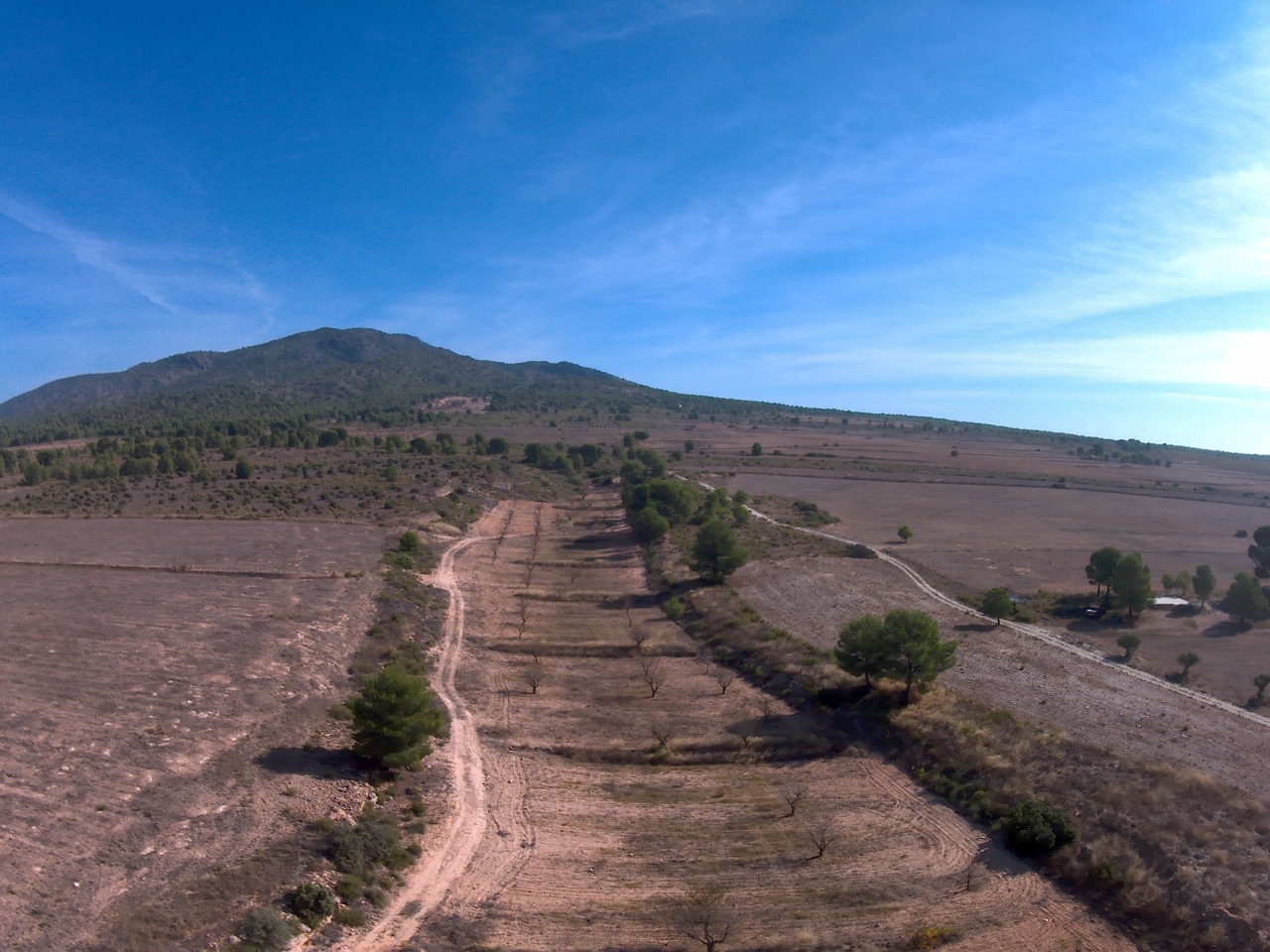 Finca Las Quebradas between Pinoso and Yecla