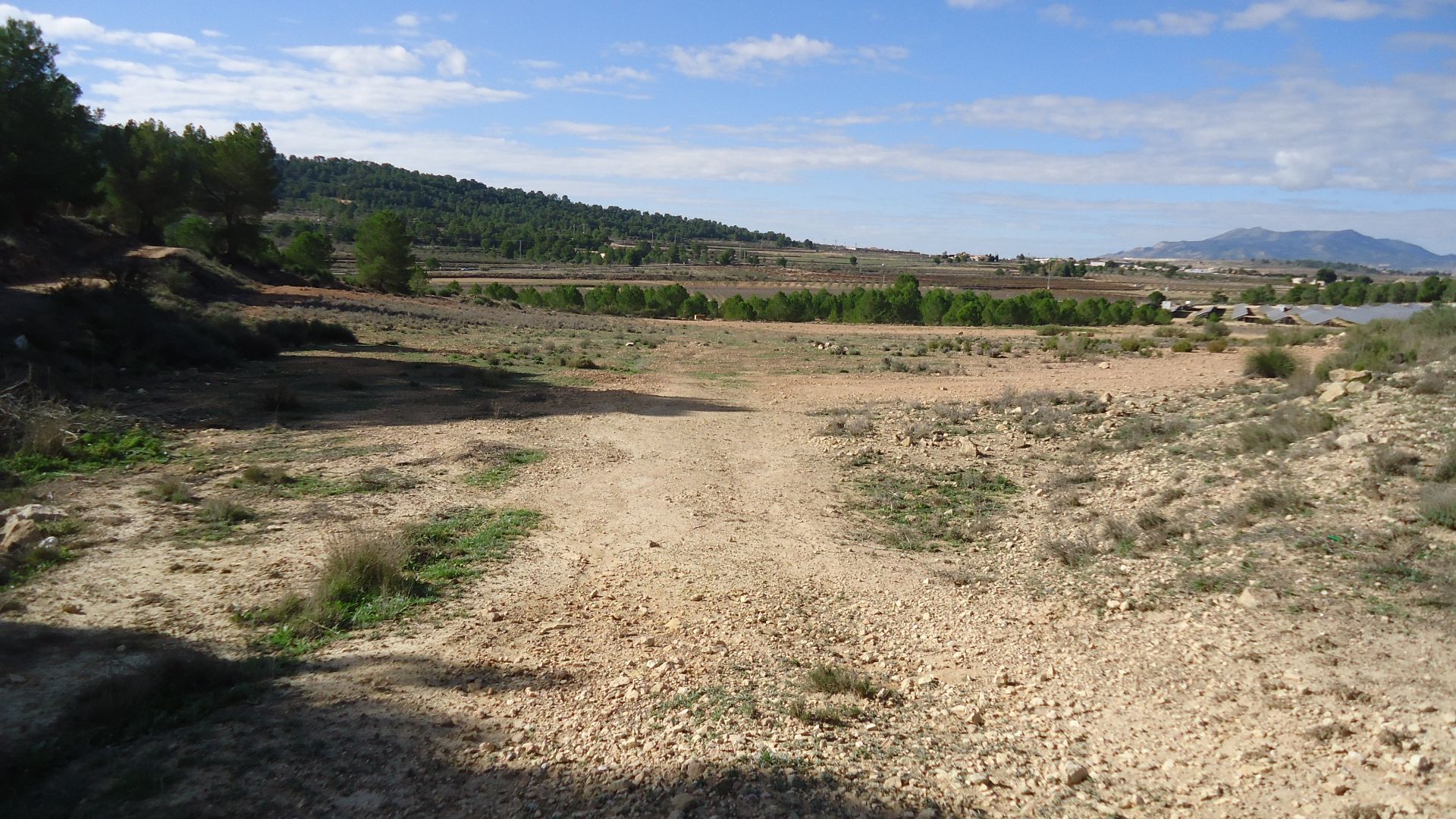 This 86,000m² building plot near Monovar offers a lush, green landscape with irrigation water readil