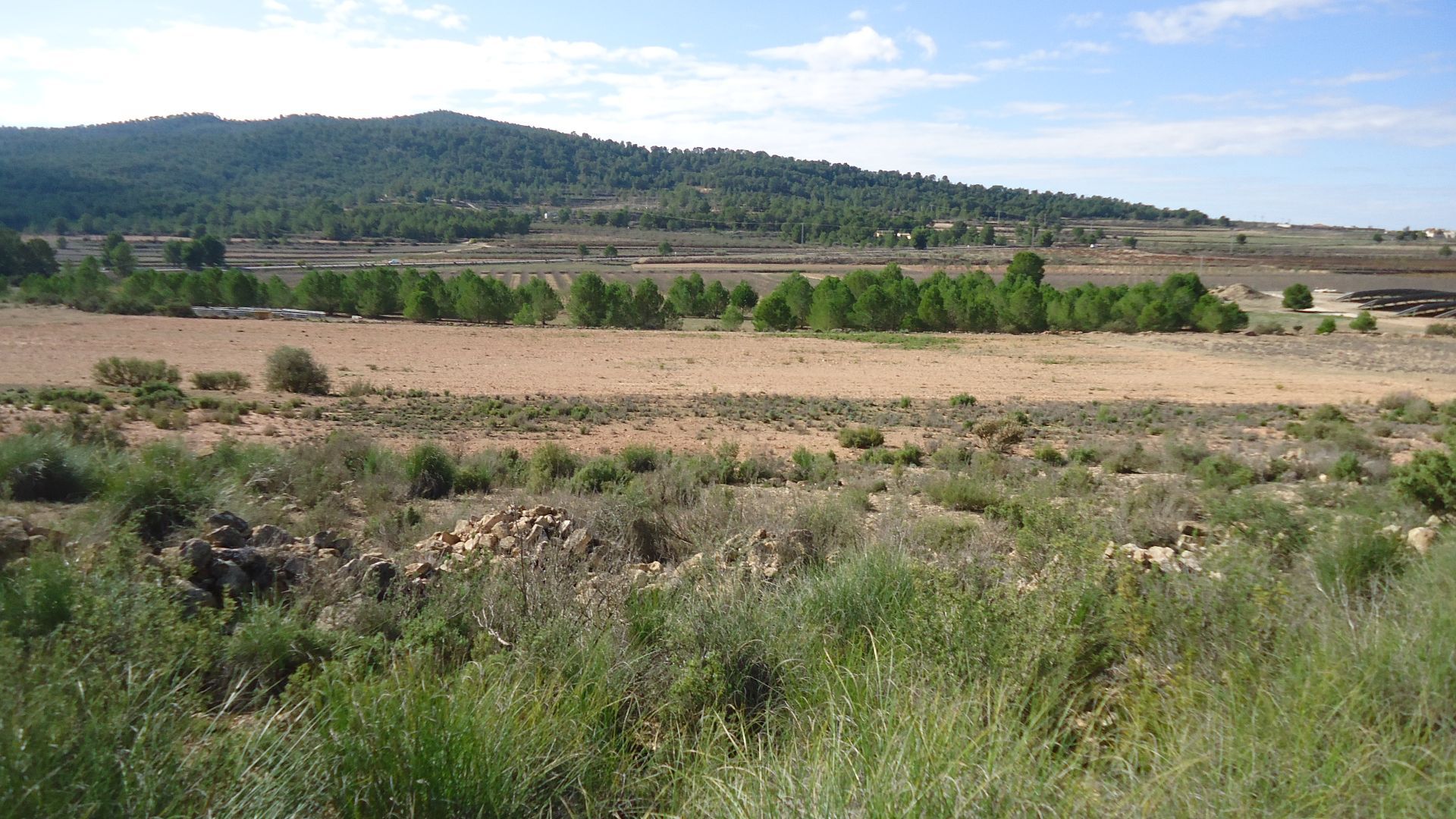 This 86,000m² building plot near Monovar offers a lush, green landscape with irrigation water readil