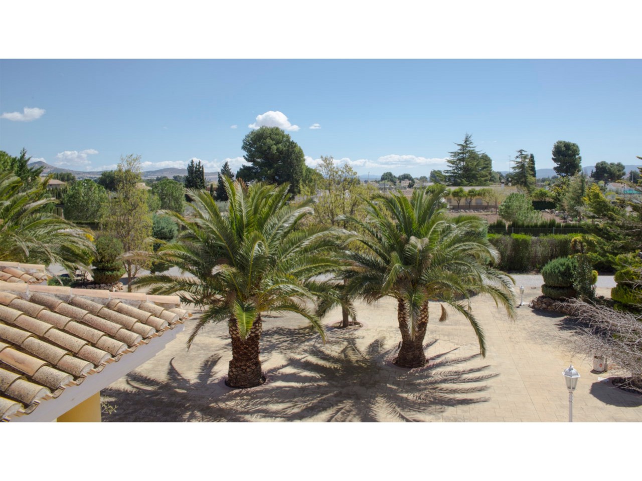 Pool area in villa for sale in Yecla