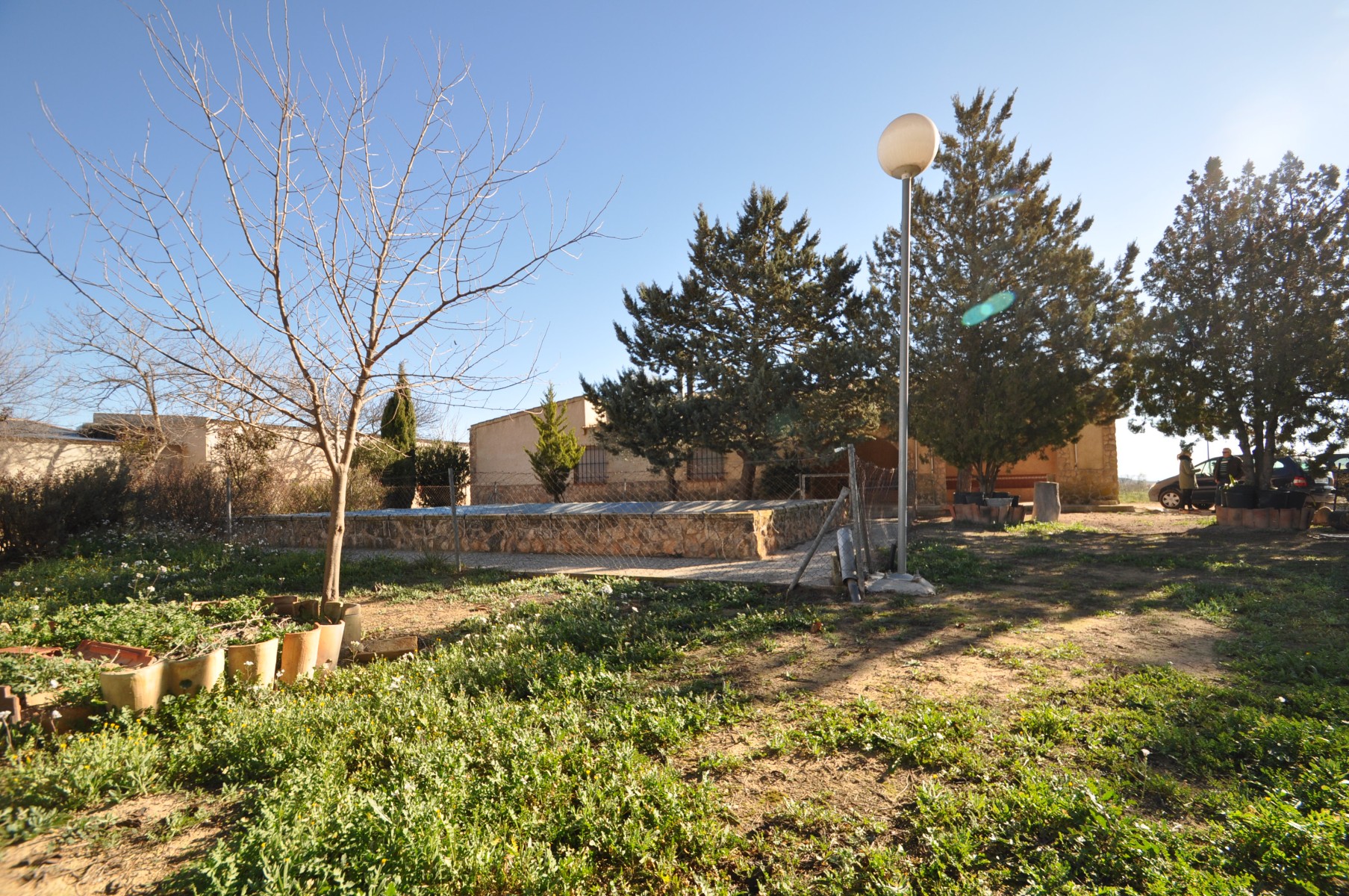 Pool area in villa for sale in Yecla