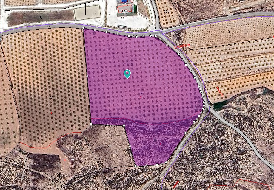 Garden in land for sale in Pinoso