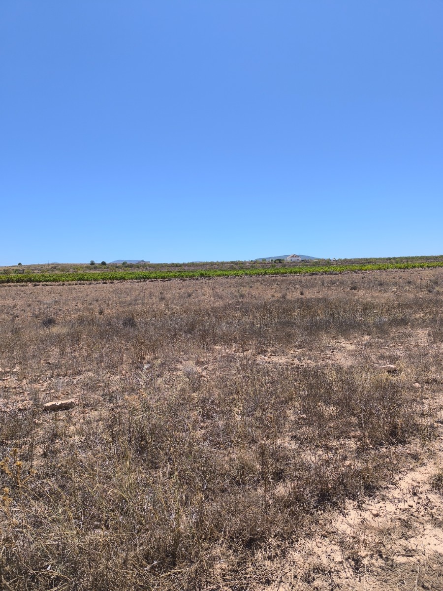 Presenting a fantastic plot of land spanning 30,552 square meters, offering a great opportunity for