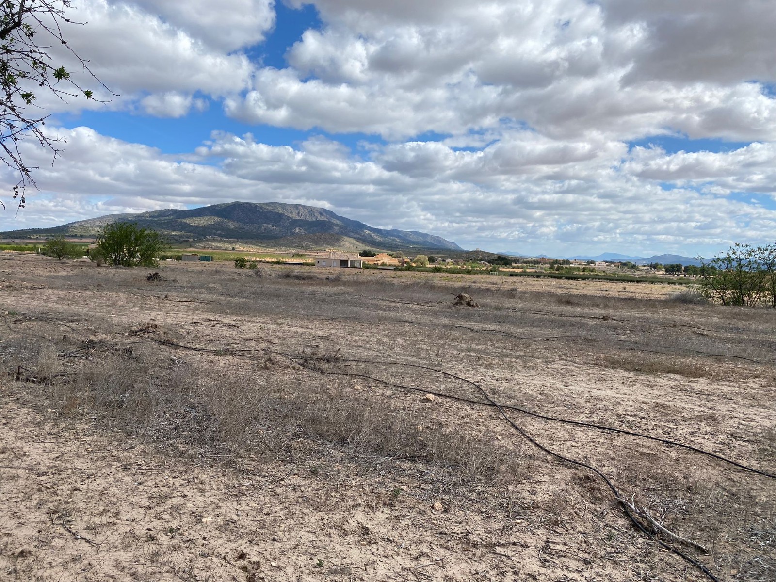 Terrace in land for sale in Pinoso