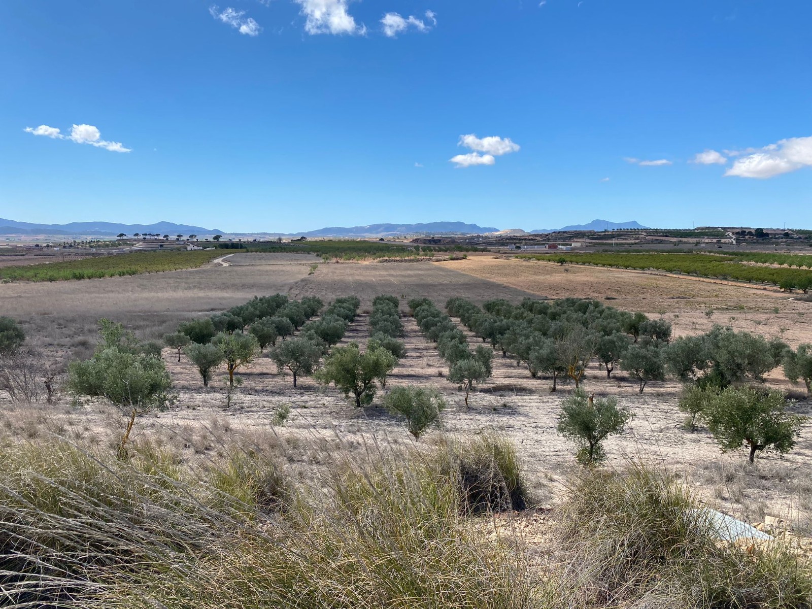 This exceptional property spans 20,357 square metres and features a small cave house, offering a uni