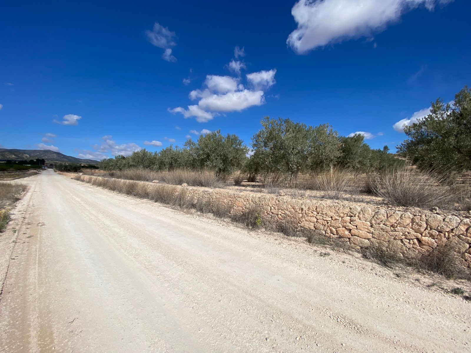 This exceptional property spans 20,357 square metres and features a small cave house, offering a uni