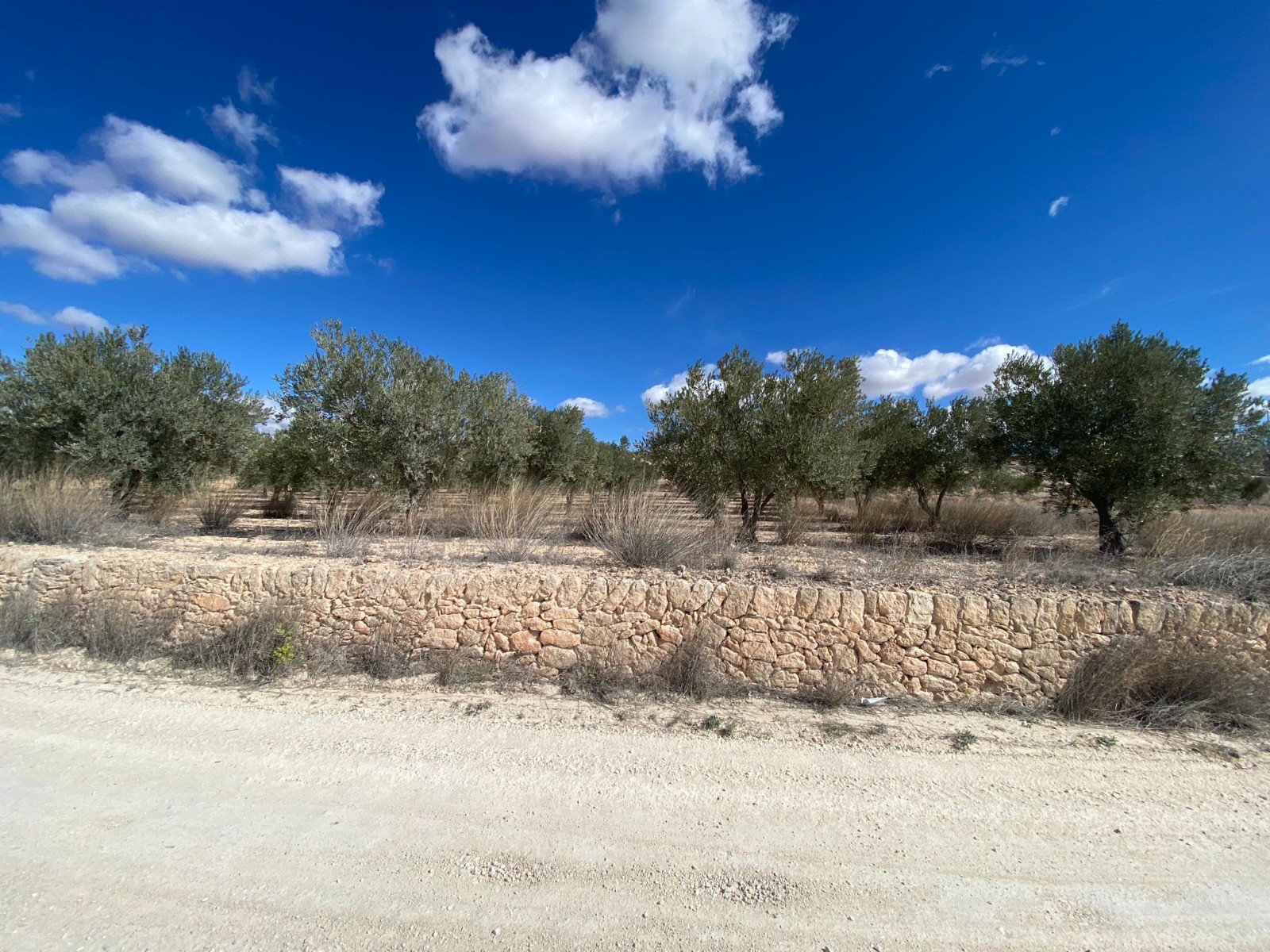 Pool area in land for sale in Pinoso