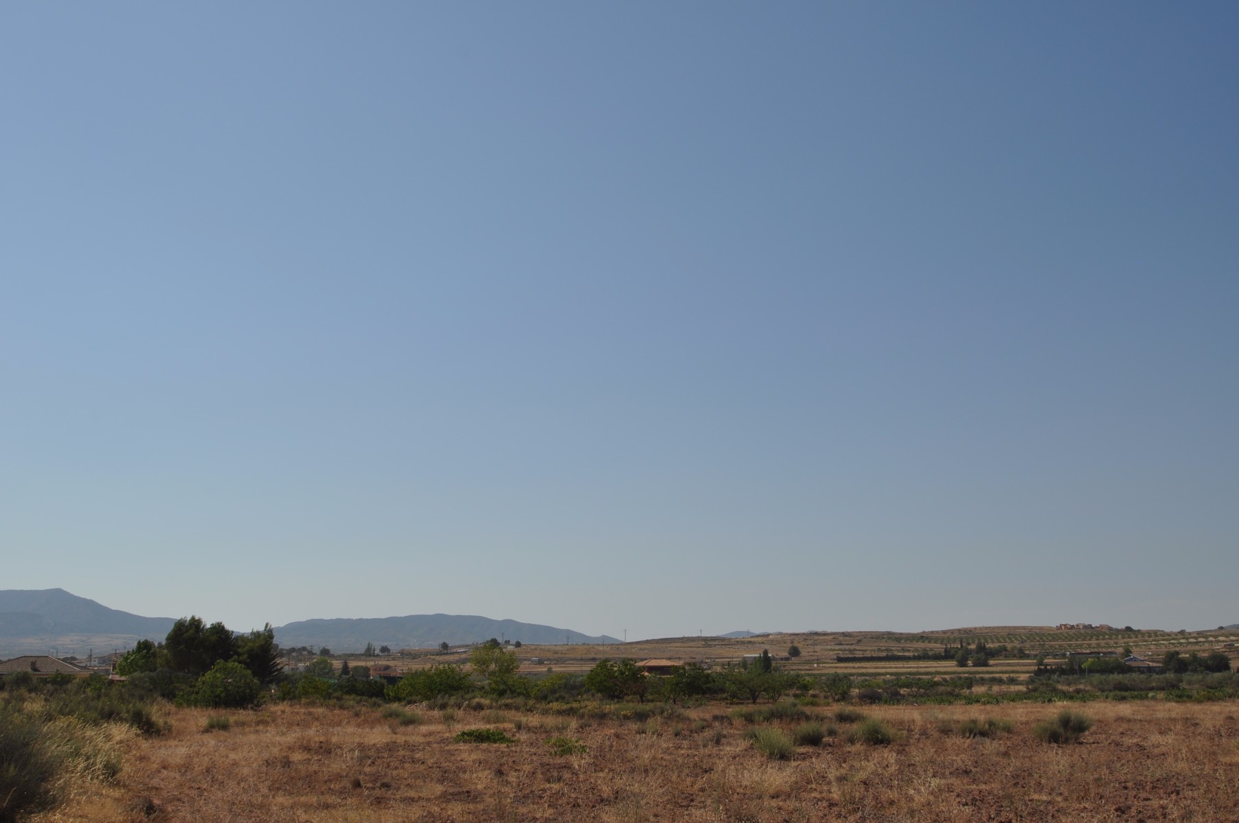 Terrace in land for sale in Pinoso