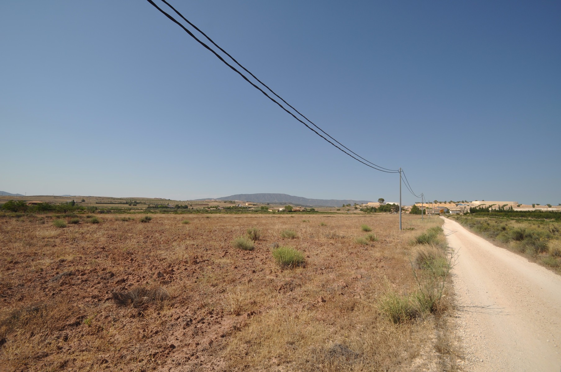 Garden in land for sale in Pinoso