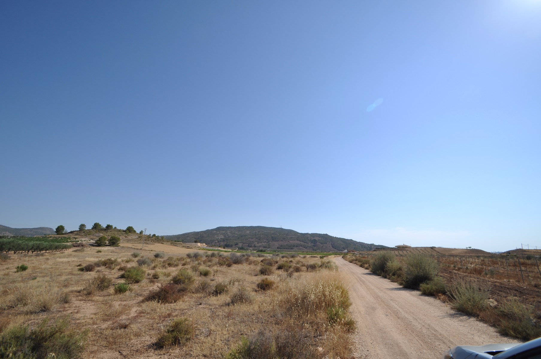 Terrace in land for sale in Pinoso