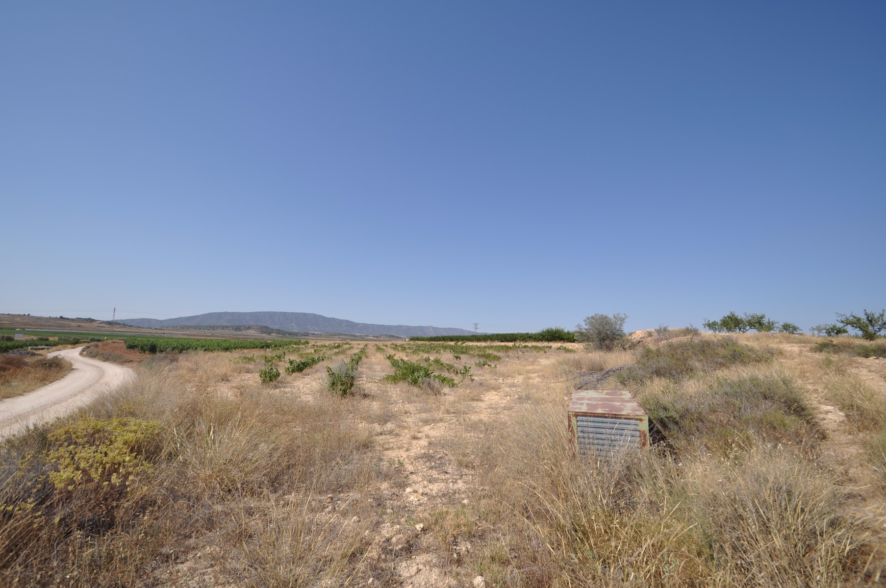Pool area in land for sale in Pinoso