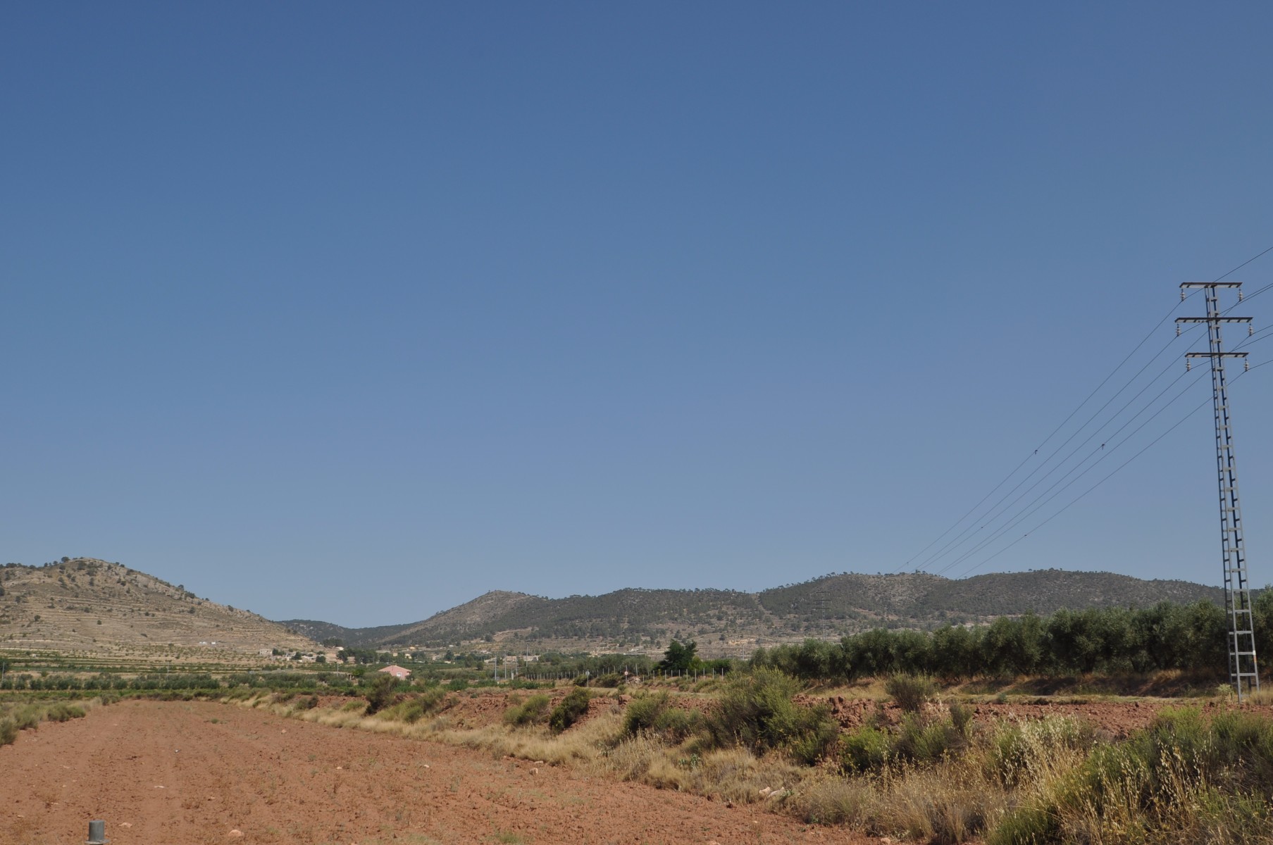 Terrace in land for sale in Pinoso