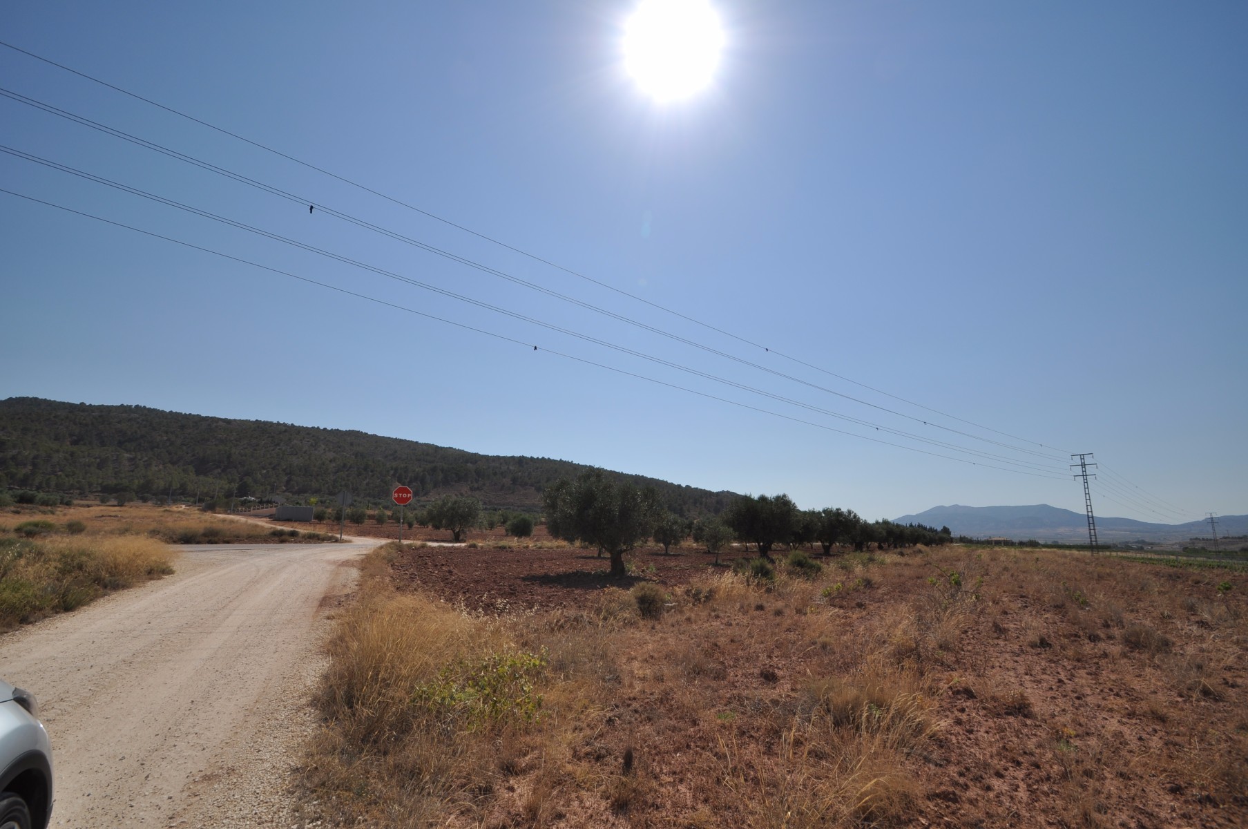 Pool area in land for sale in Pinoso