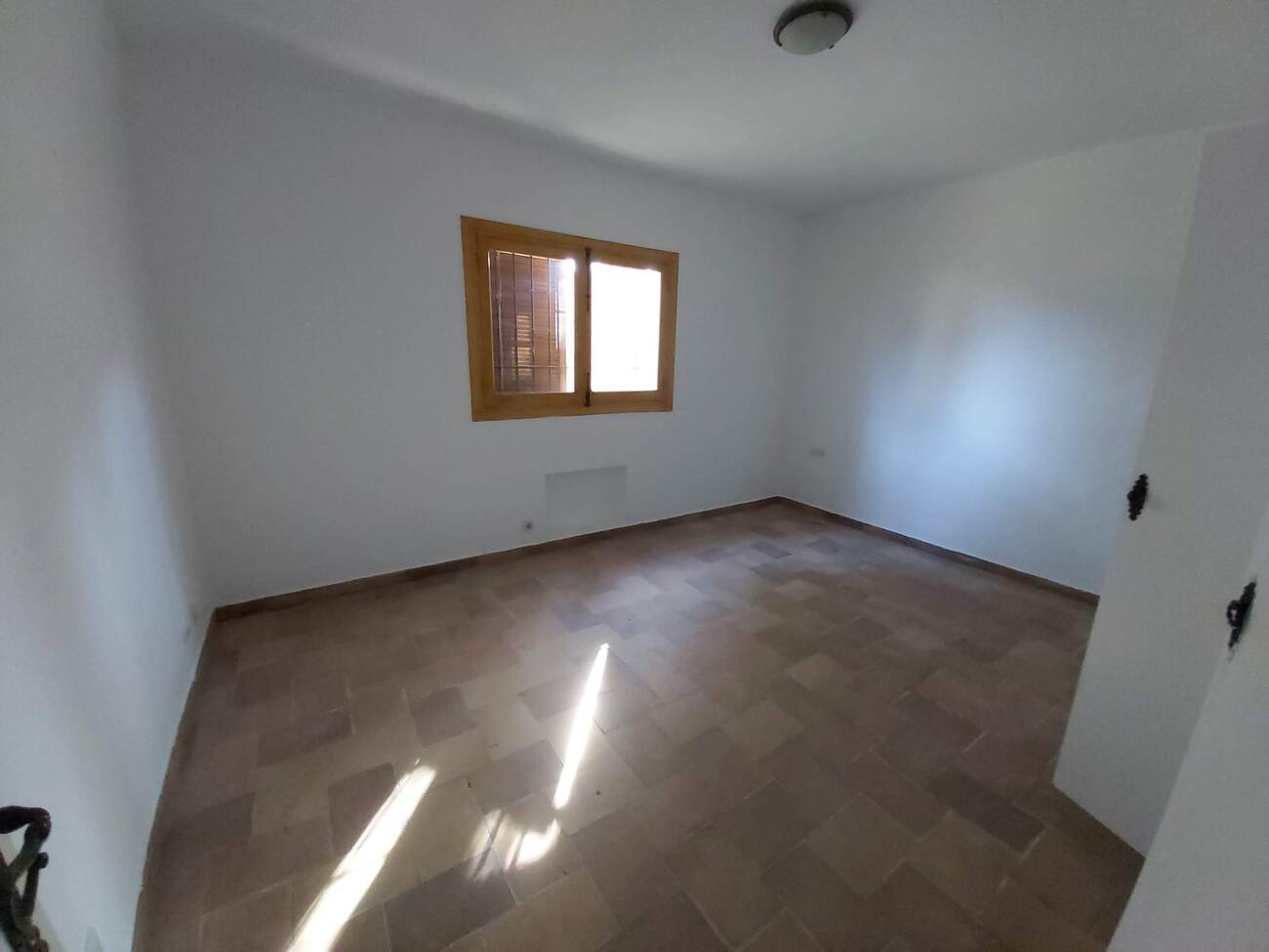 Garden in villa for sale in La Zenia