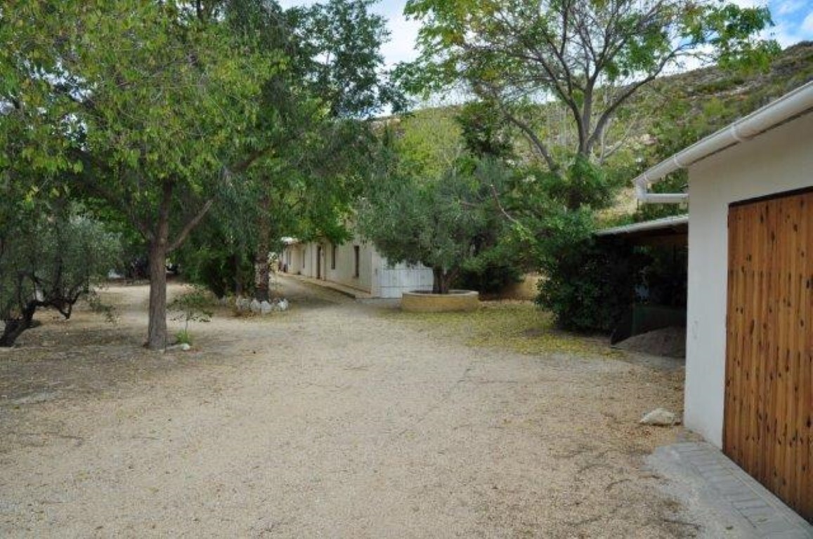 Master bedroom in finca for sale in Torremanzanas