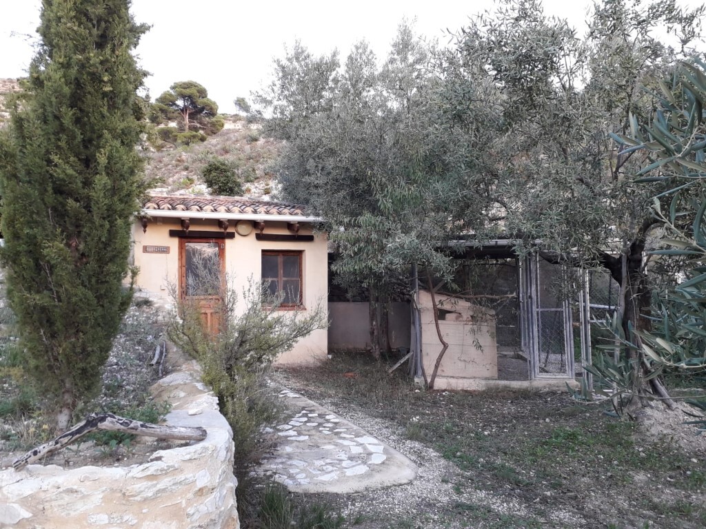 Bedroom in finca for sale in Torremanzanas