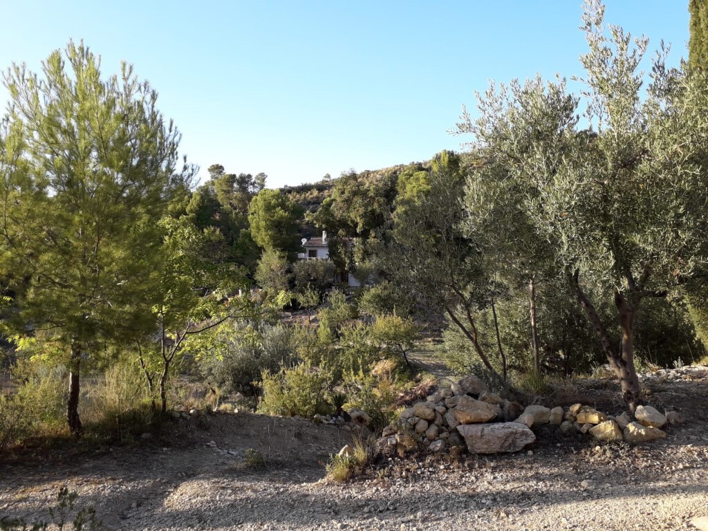 Master bedroom in finca for sale in Torremanzanas