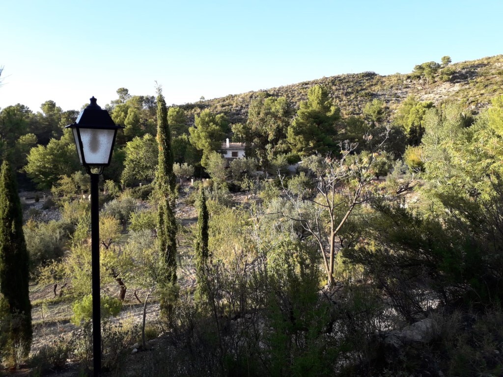 Bathroom in finca for sale in Torremanzanas