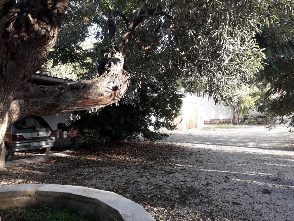 Pool area in finca for sale in Torremanzanas