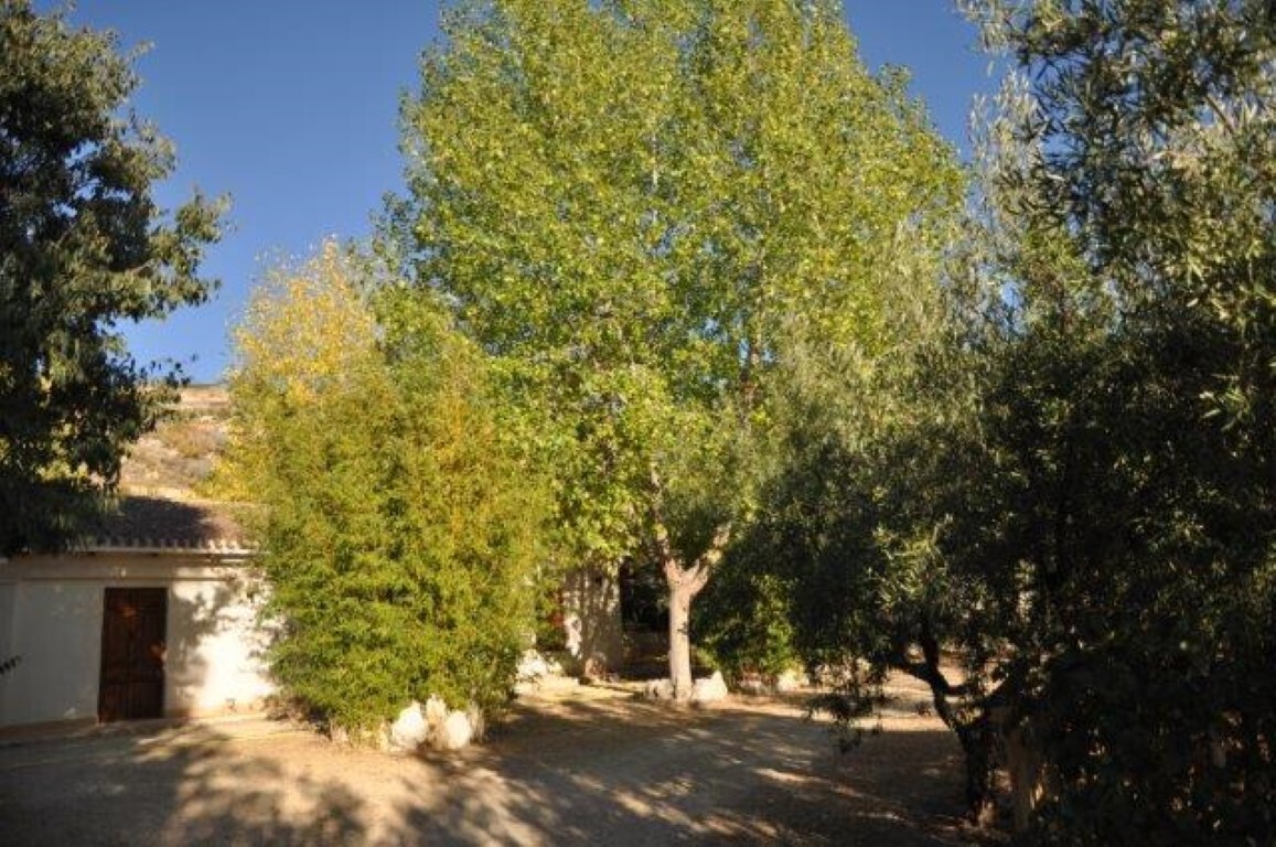 Garden in finca for sale in Torremanzanas