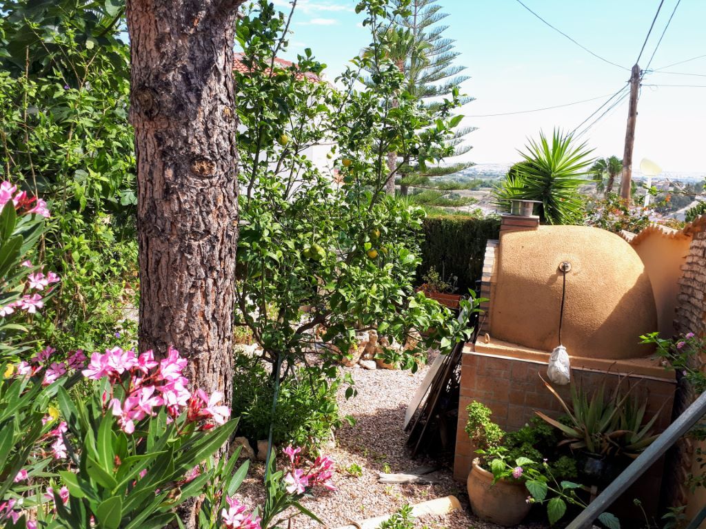 Pool area in villa for sale in Ciudad Quesada