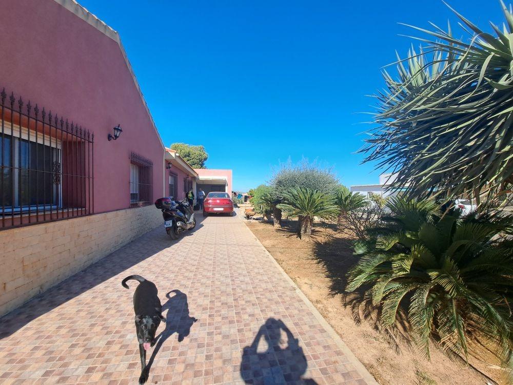 Garden in terraced for sale in Torre Pacheco